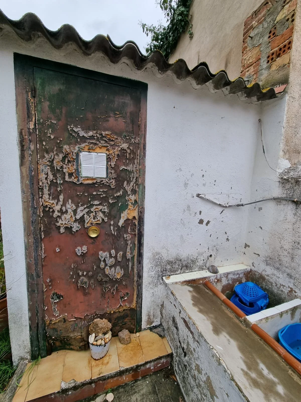 WhatsApp Image 2022-03-21 at 10.02.51.jpeg