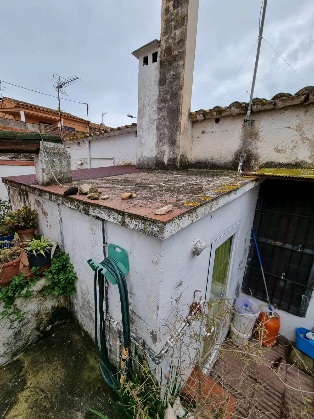 WhatsApp Image 2022-03-21 at 10.03.16.jpeg