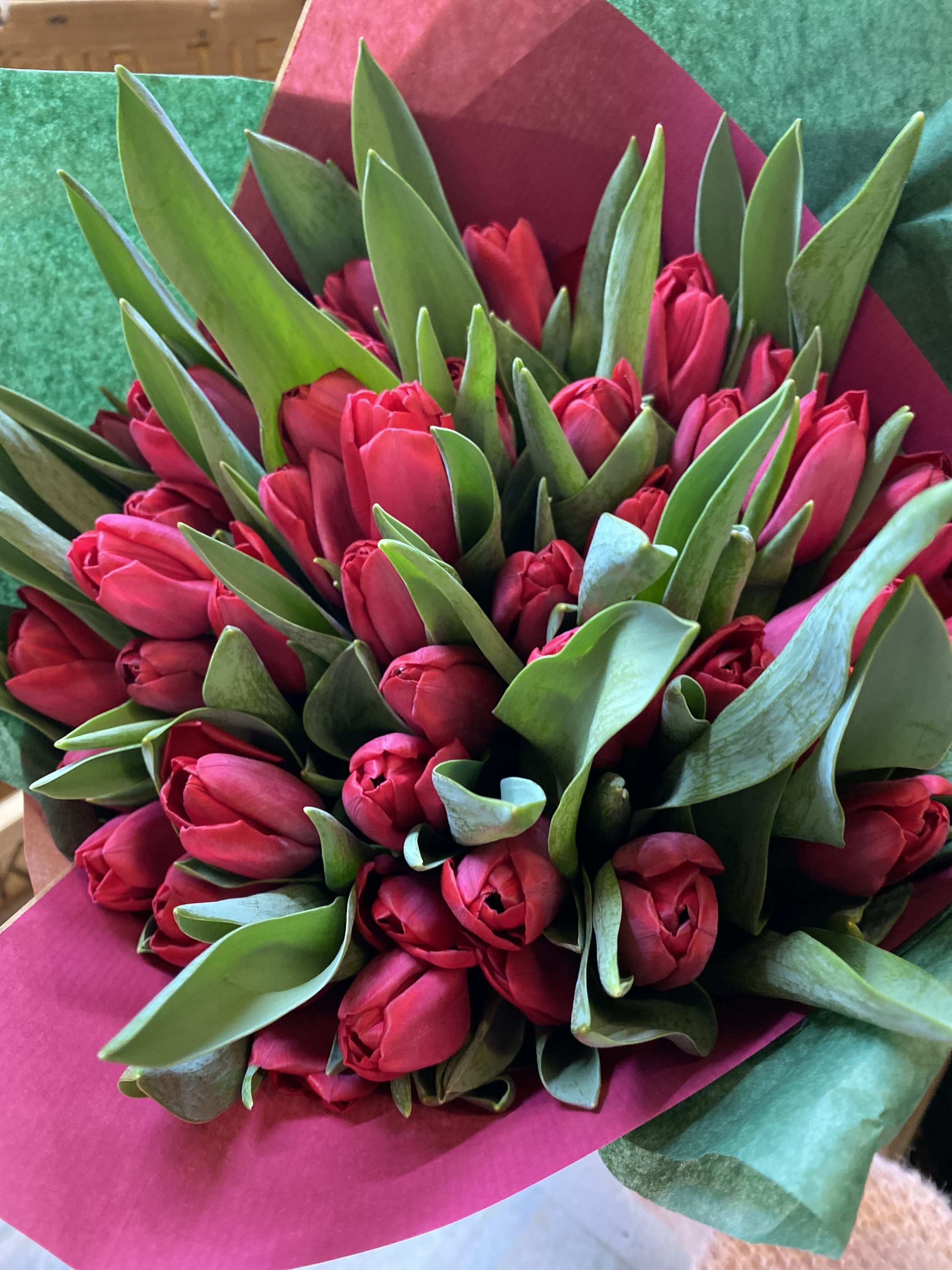 Bouquet of pink tulips with green leaves wrapped in pink and green paper.