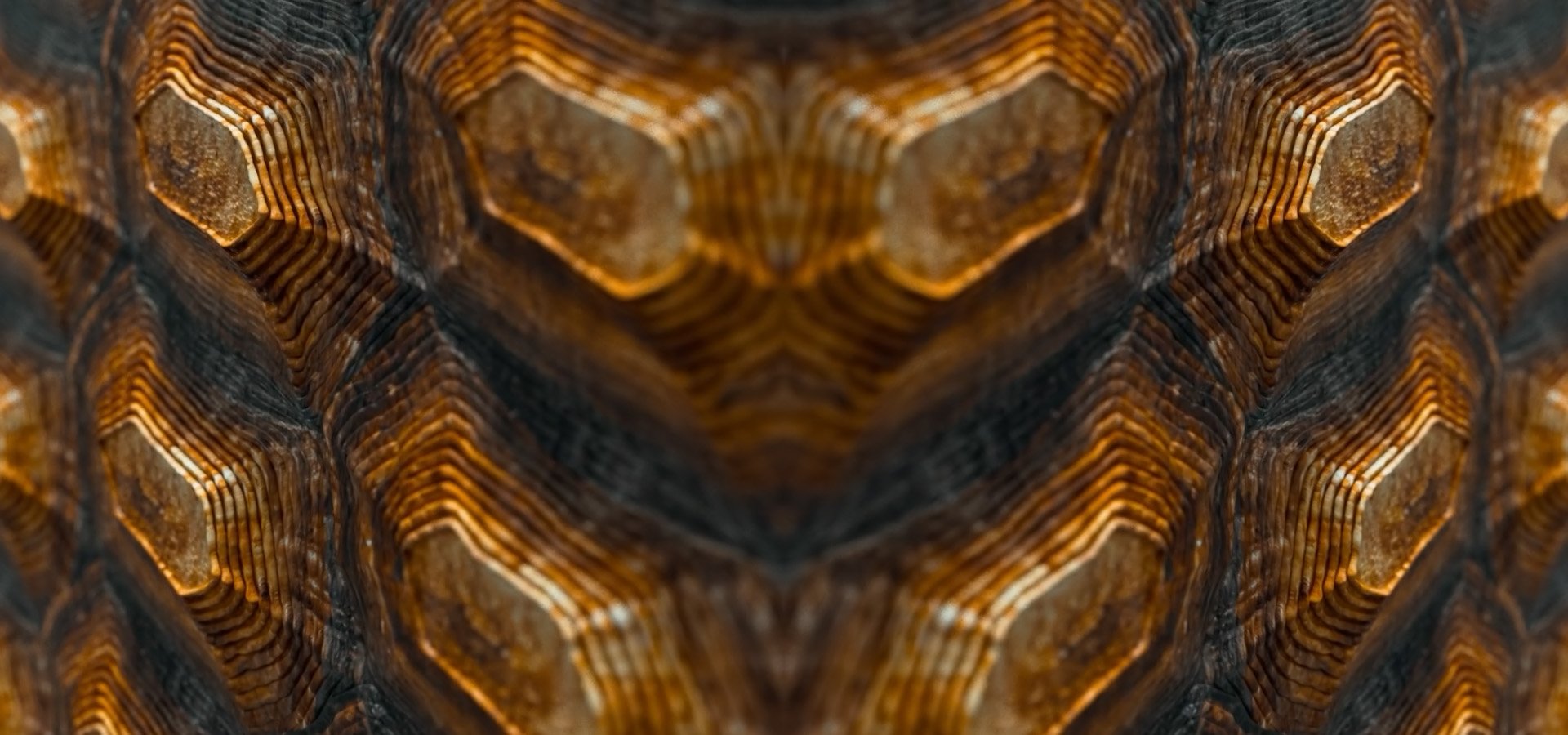 Snapshot 30.jpg