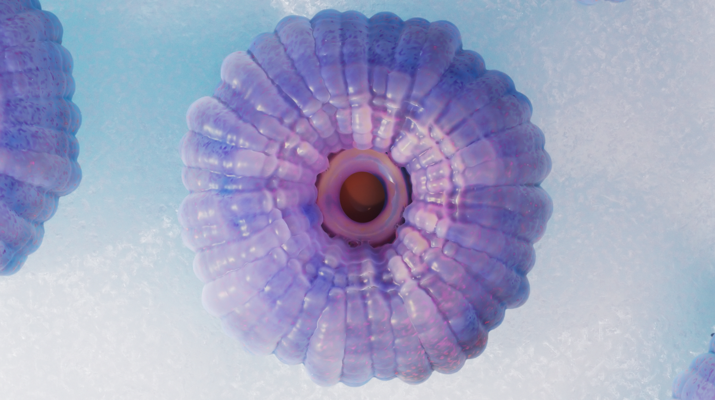 Taste: The Flavour of Life