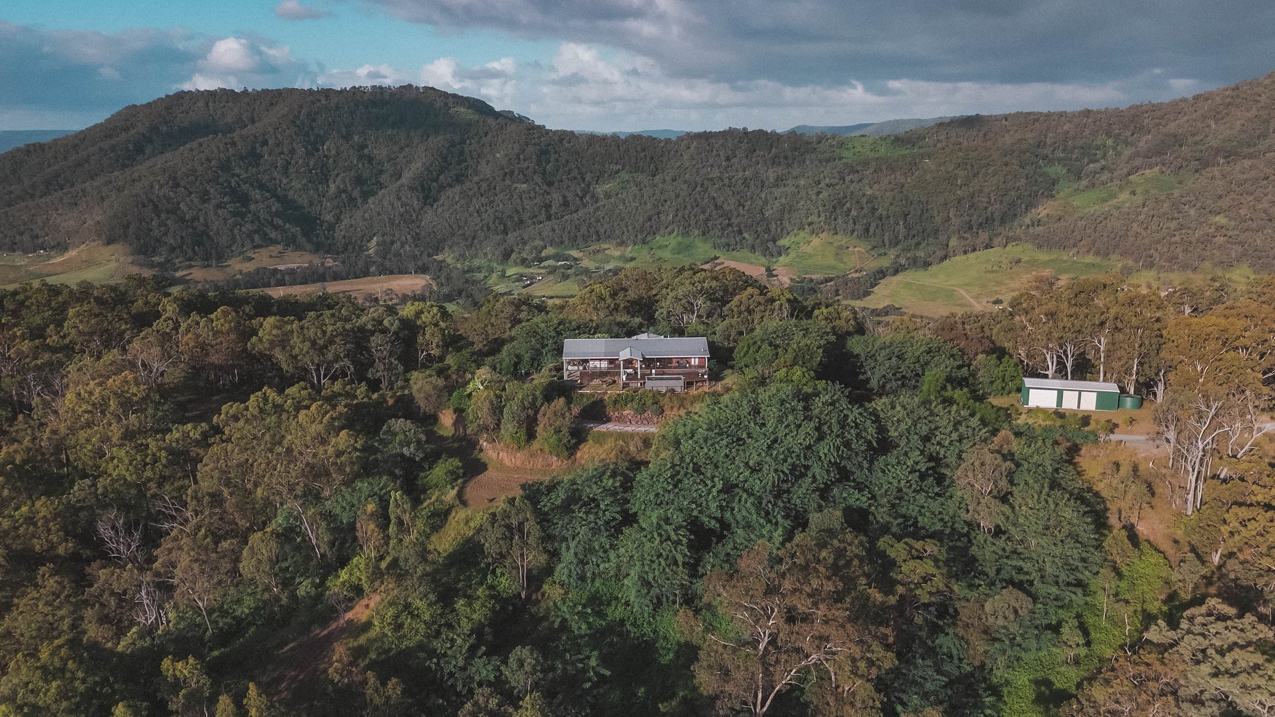 Eaglesnest-drone_00005.jpg