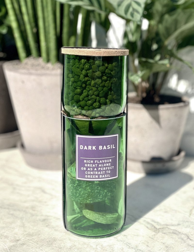 the_glasshouse_botanics_hydro_kit_purple_basil.jpg