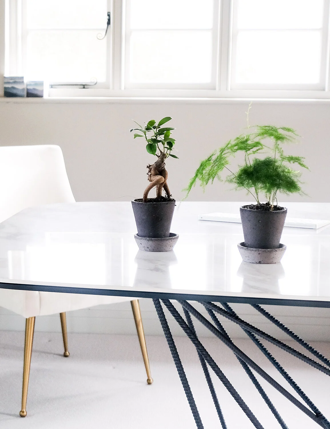the_glasshouse_botanics_asparagus_fern_pant.jpg