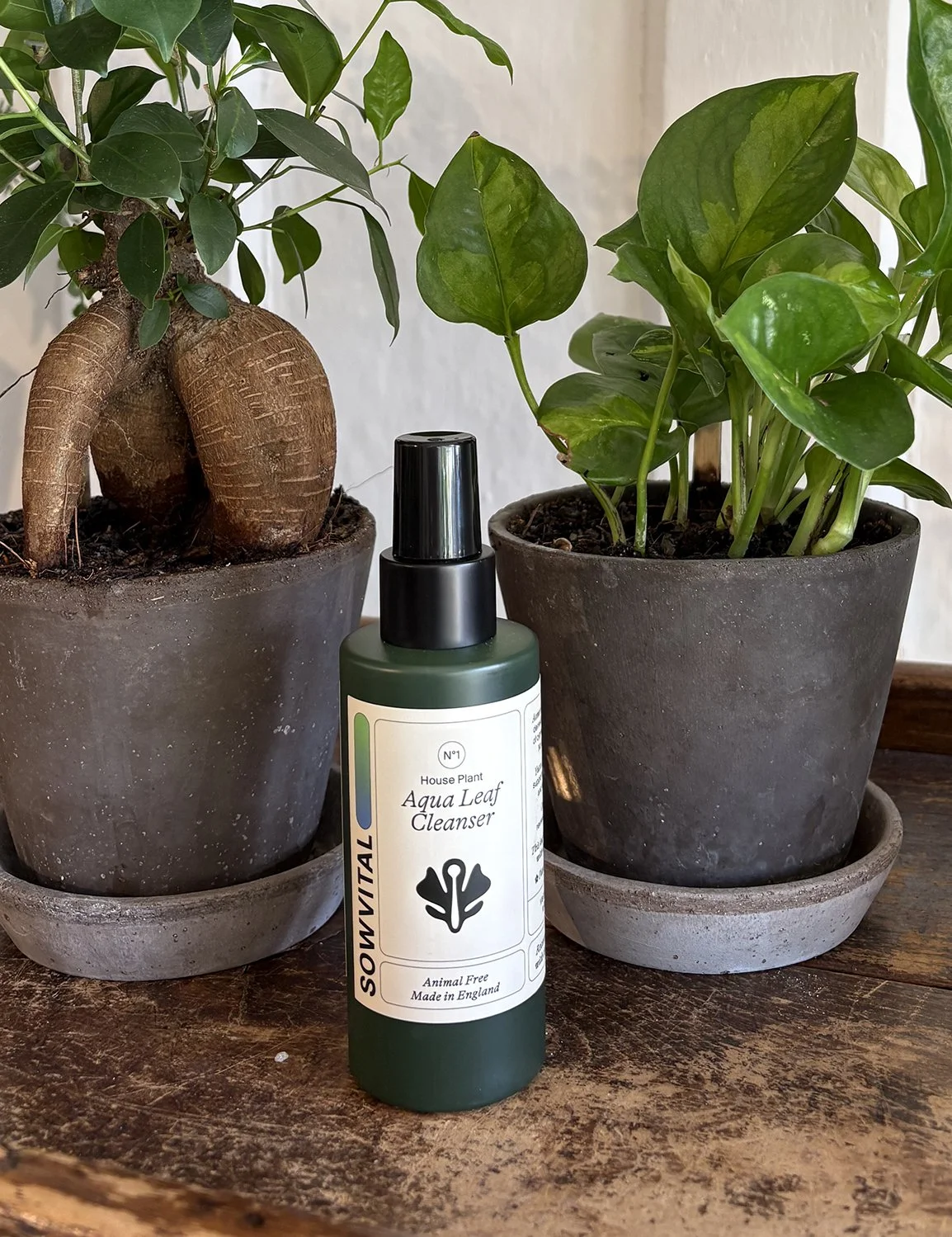 the_glasshouse_botanics_sowvital_aqua_leaf_cleanser.jpg