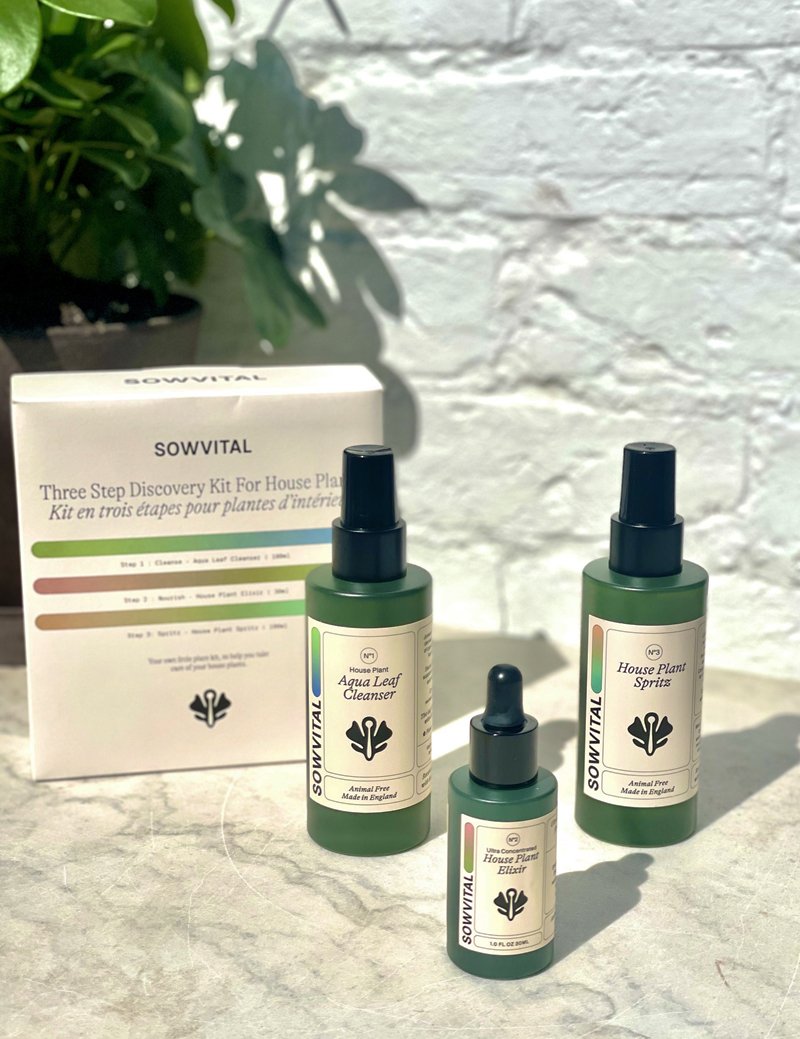 SOWVITAL THREE STEP DISCOVERY KIT