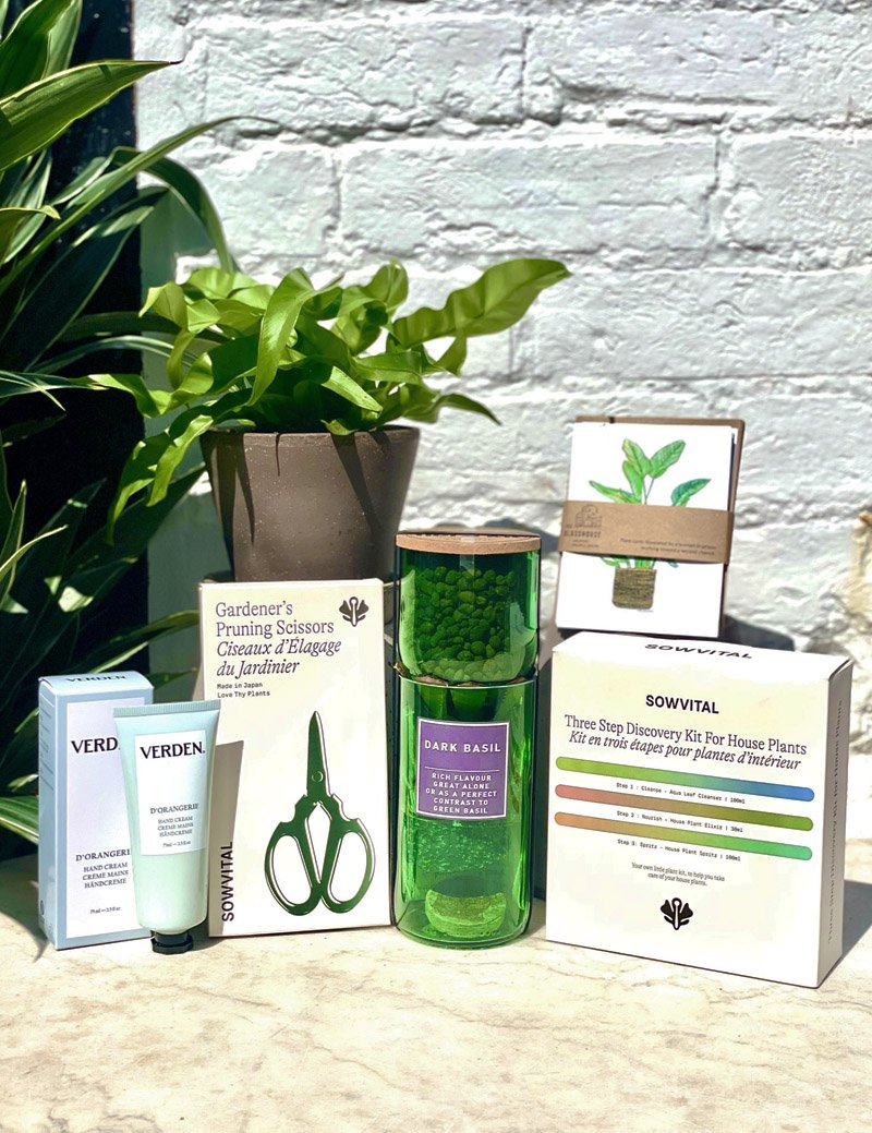 the_glasshouse_botanics_Chelsea_Bundle.jpg