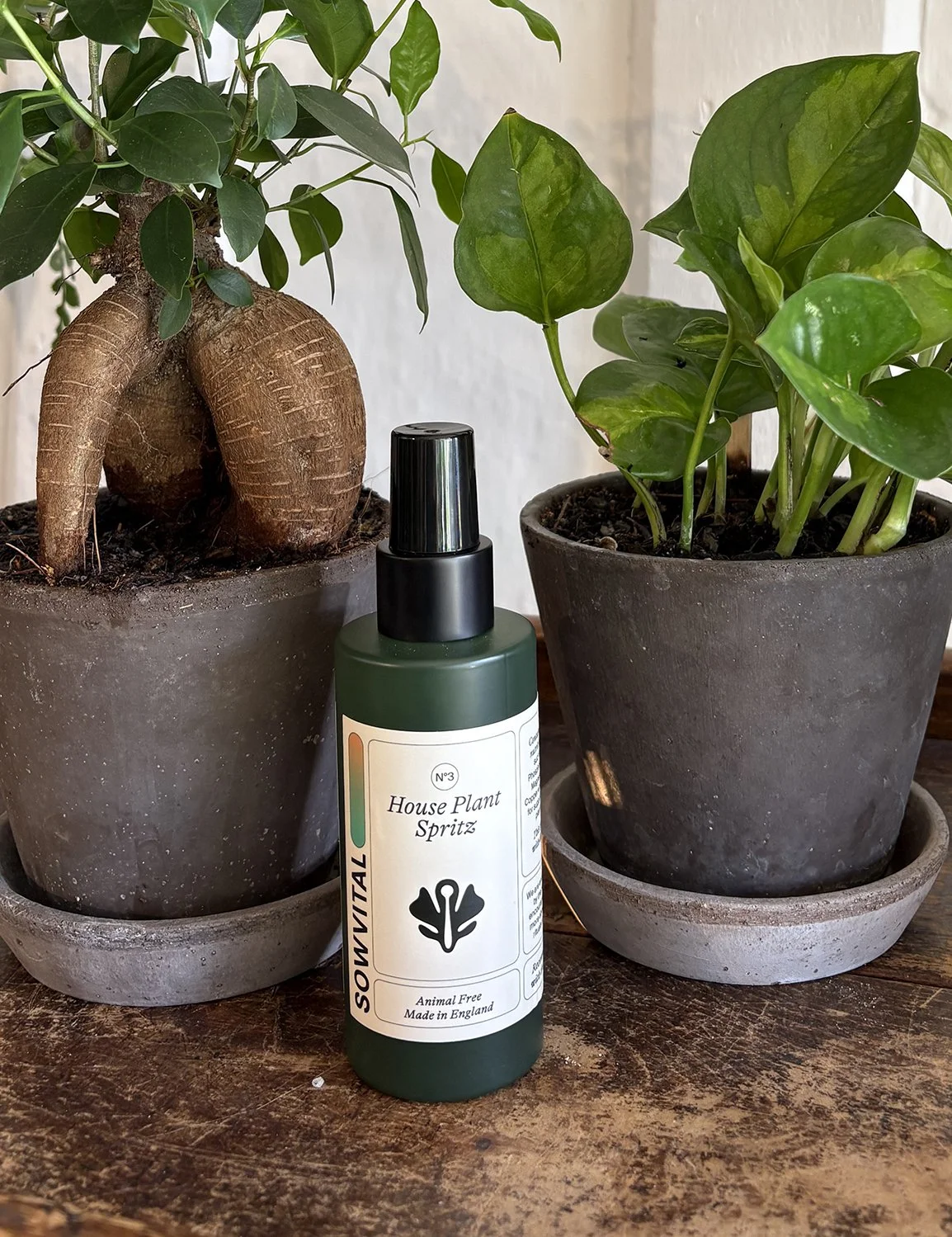 the_glasshouse_botanics_sowvital_house_plant_spritz.jpg