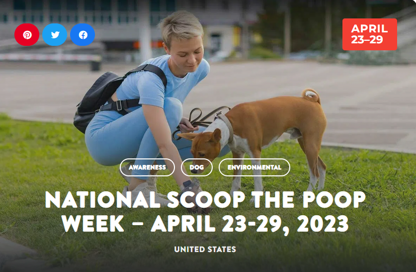 The professional pet sitters at Holy Paws poop scoop boogie every time