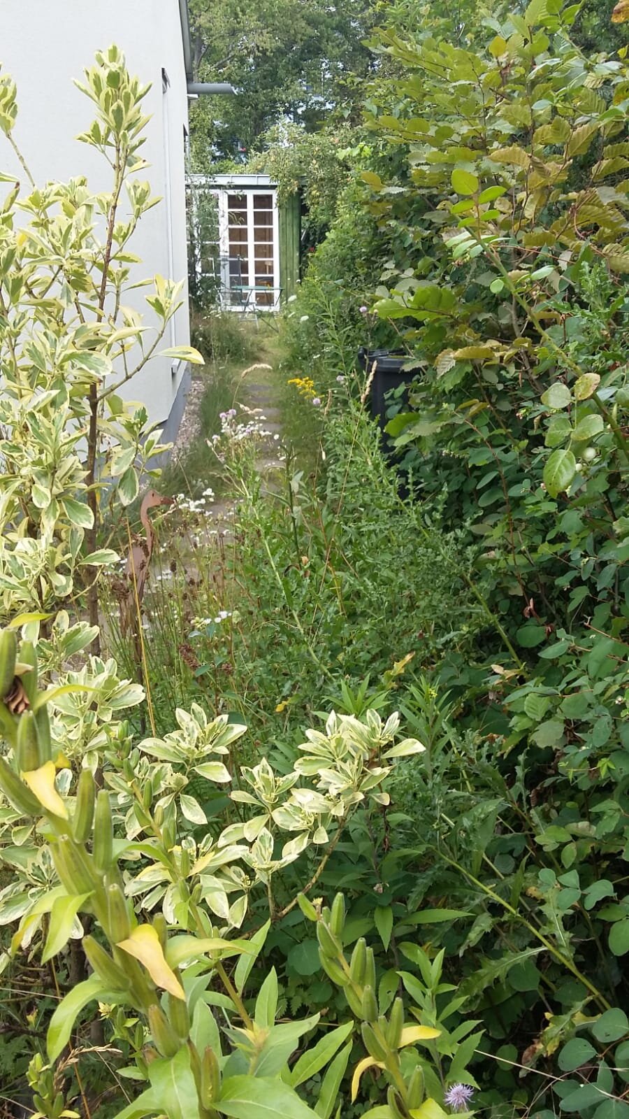 LIL Garten 3.jpeg