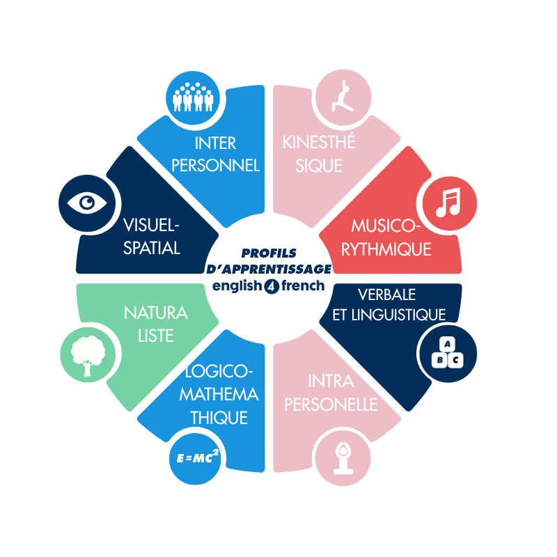 Présentation des différents profils d’apprentissage : interpersonnel, musico-rythmique, intrapersonnel, naturaliste, logico-mathématique, verbal et linguistique, corporel et kinesthésique, et visuel-spatial.
