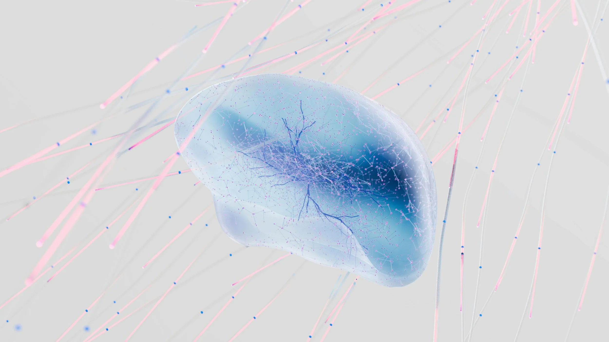 ANGLAIS POUR LES NIVEAUX A2+