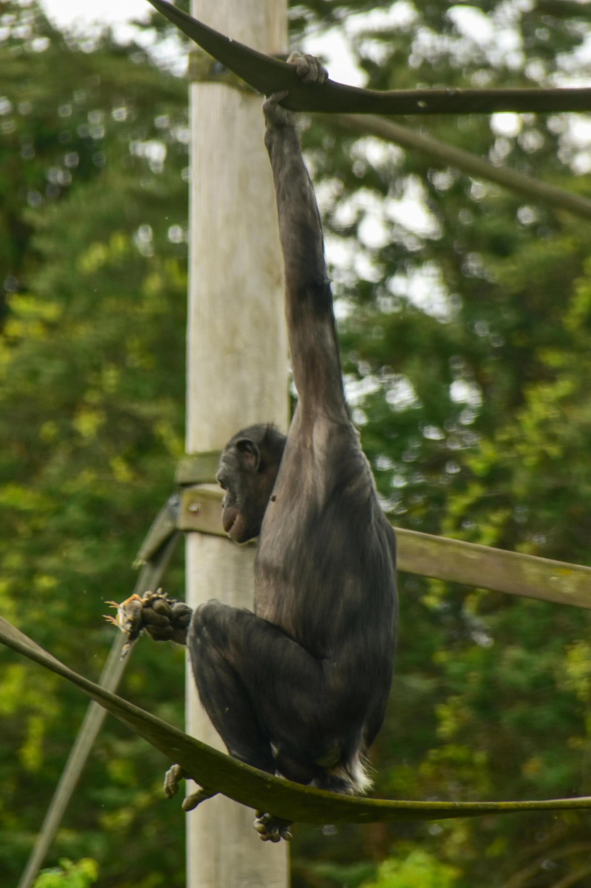 ANGLAIS POUR LES NIVEAUX A2+