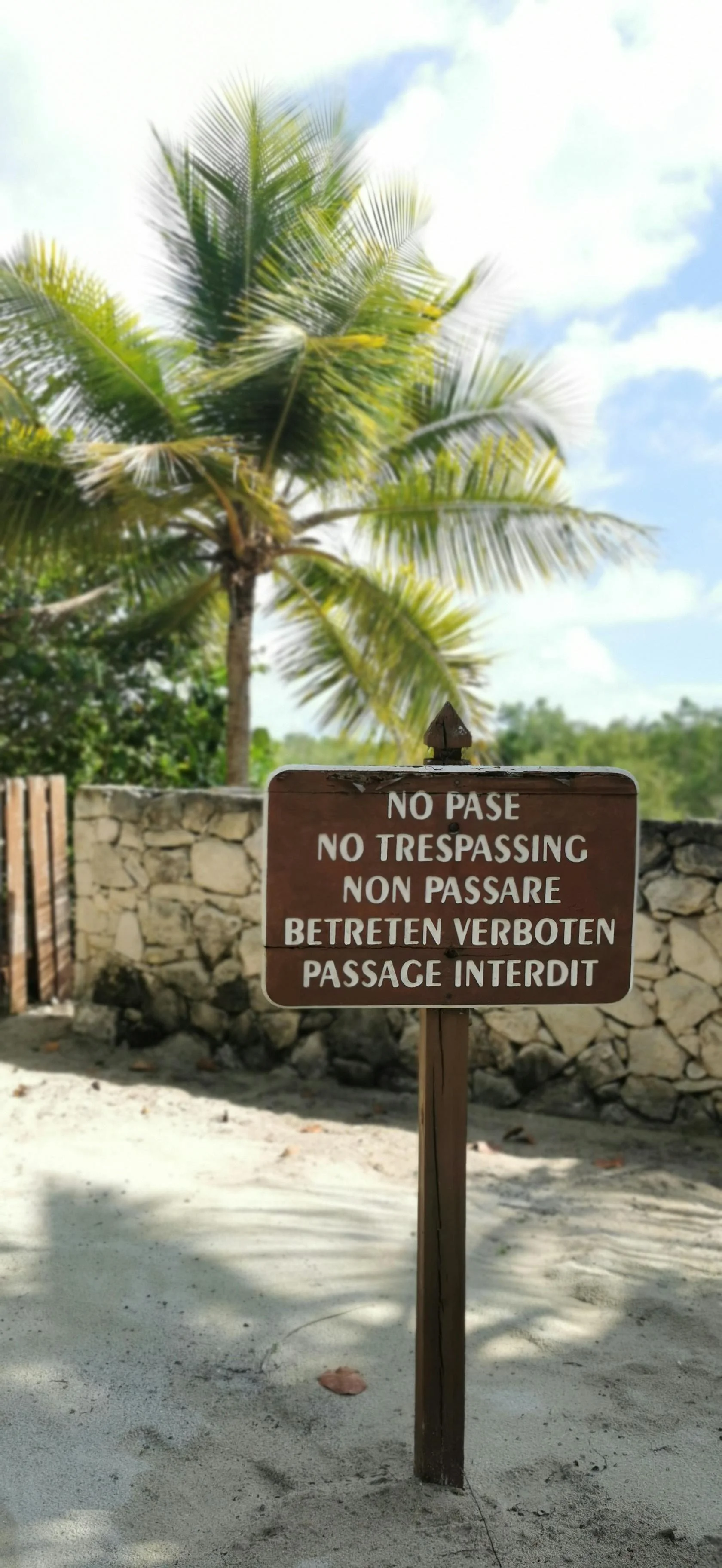 ANGLAIS POUR LES NIVEAUX B1/B2