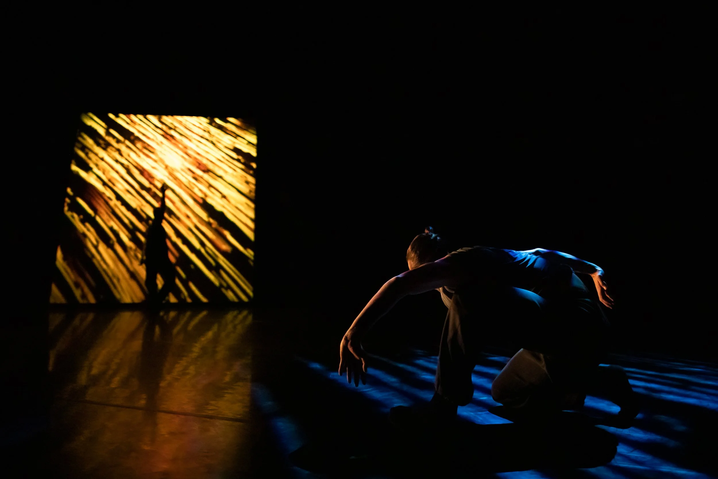Vortex RMDC 29-9--22 Roswitha Chesher-HR-7.JPG