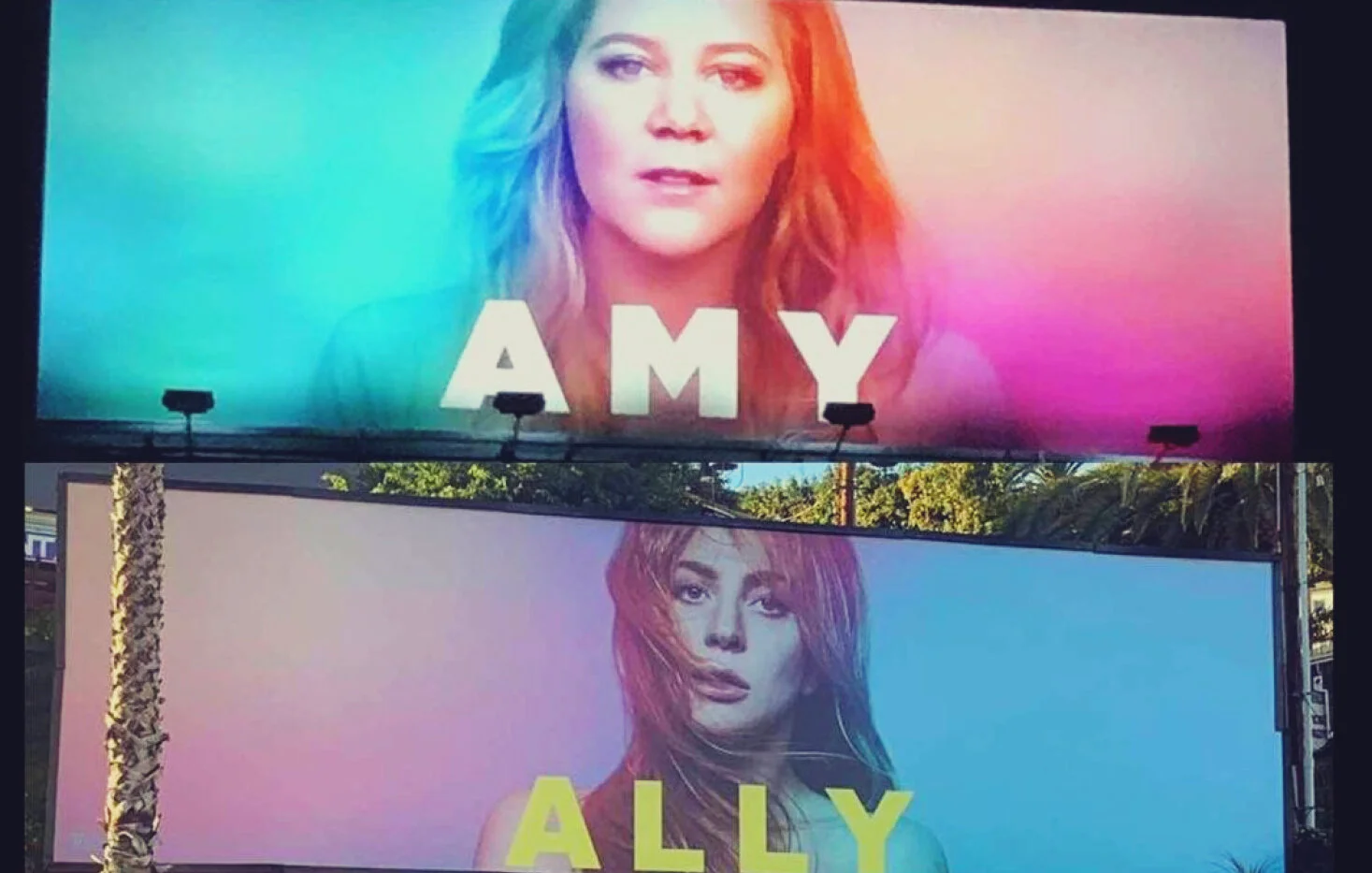 AMY SCHUMER