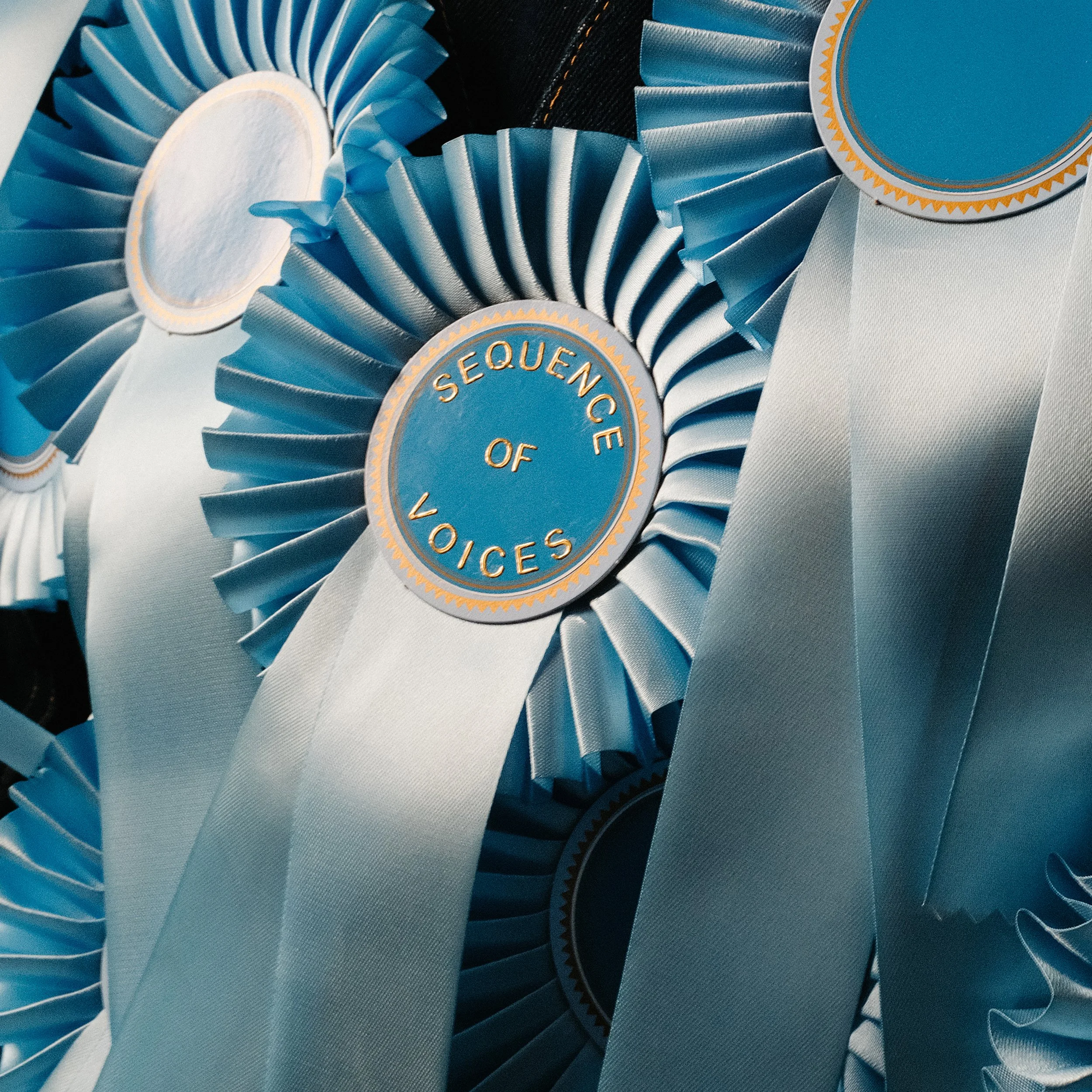 Blue ribbon awards with a circular badge in the center that reads "Sequence of Voices" in gold lettering.