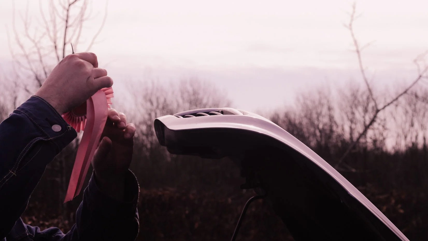 Person cleaning a car's roof with a pink brush outdoors at sunset or sunrise, with leafless trees in the background.
