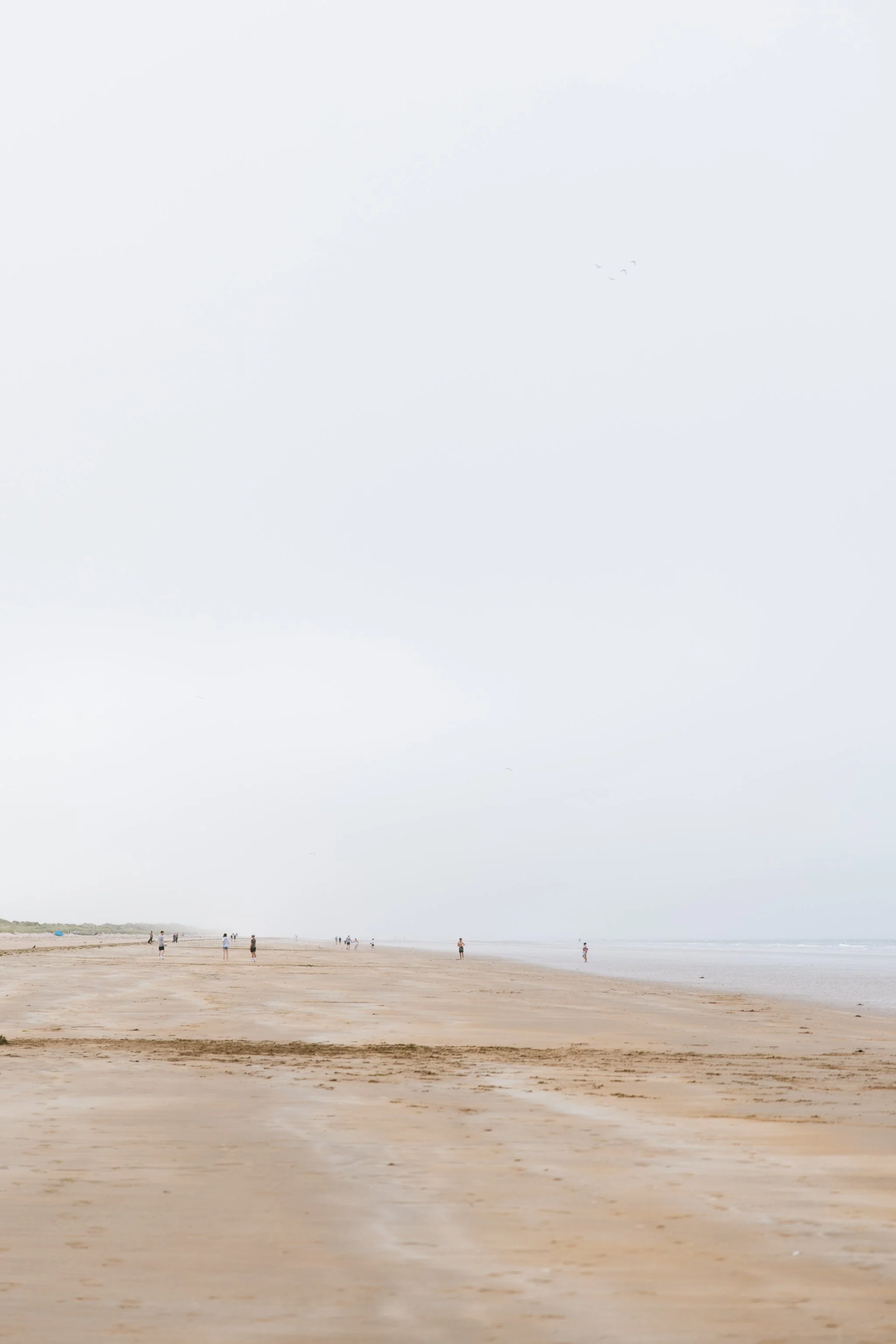 © Julia Caira 2025 - St Andrews-5050.jpg