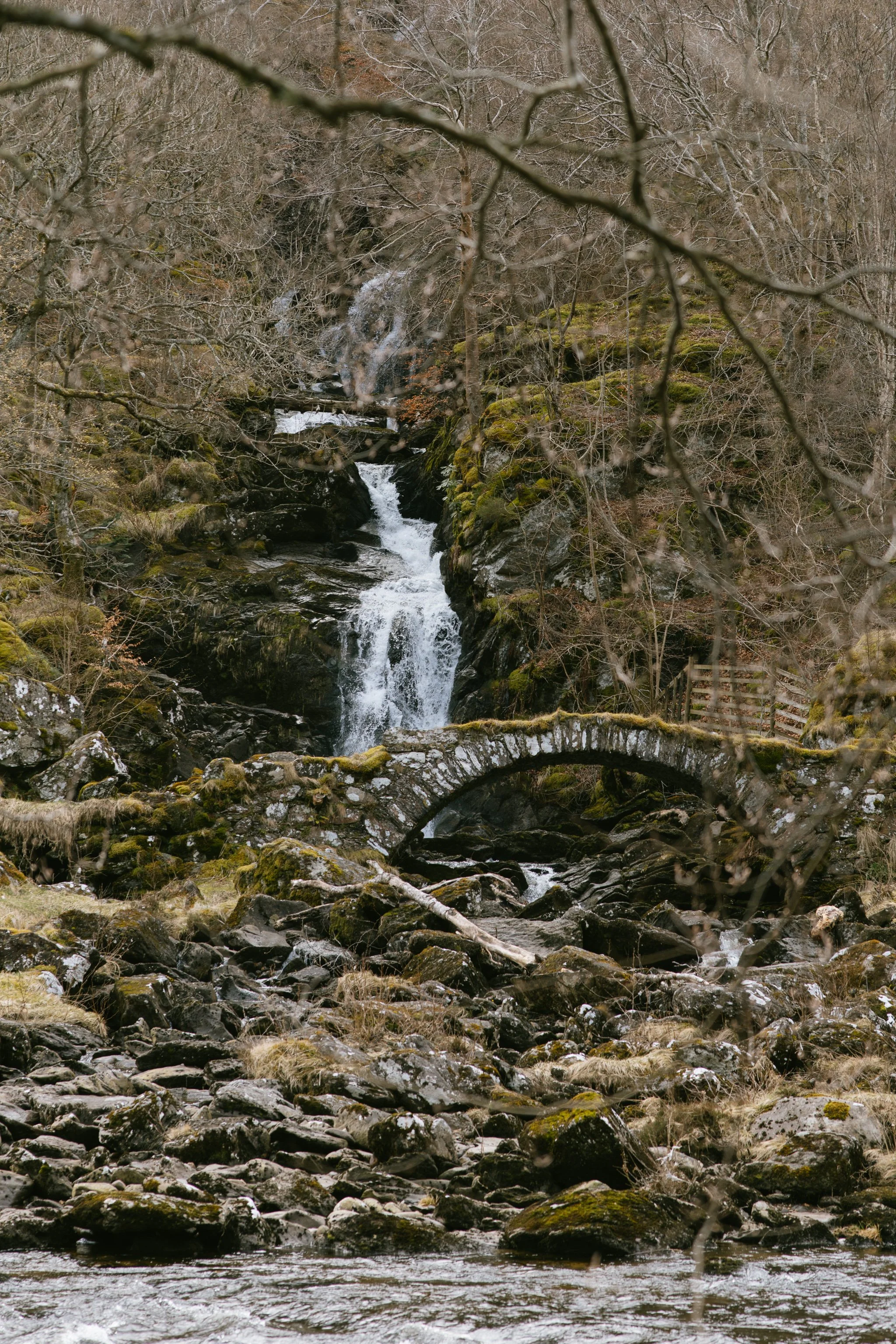© Julia Caira 2026 - Aberfeldy and Fortingall-1343.jpg