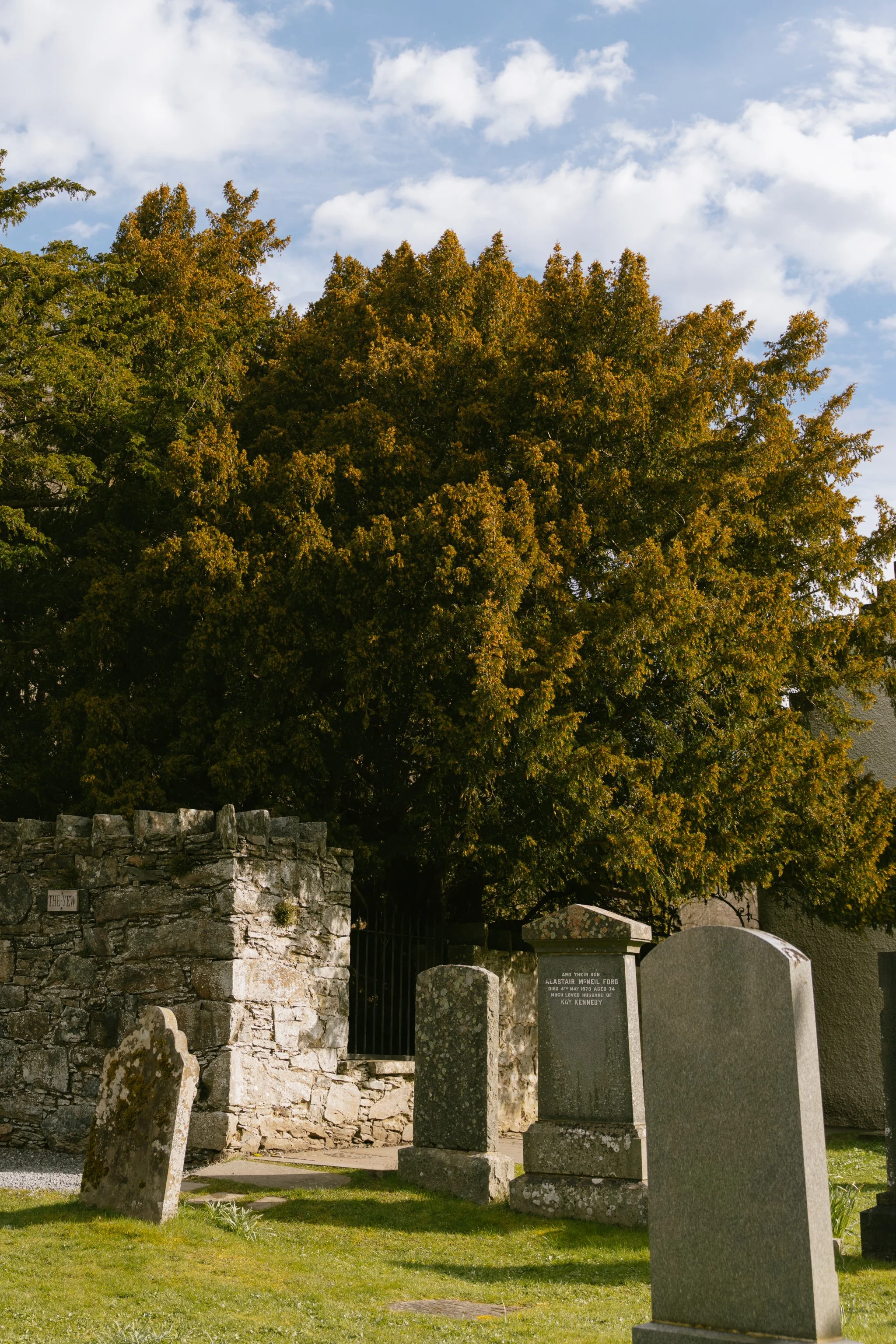 © Julia Caira 2026 - Aberfeldy and Fortingall-1332.jpg