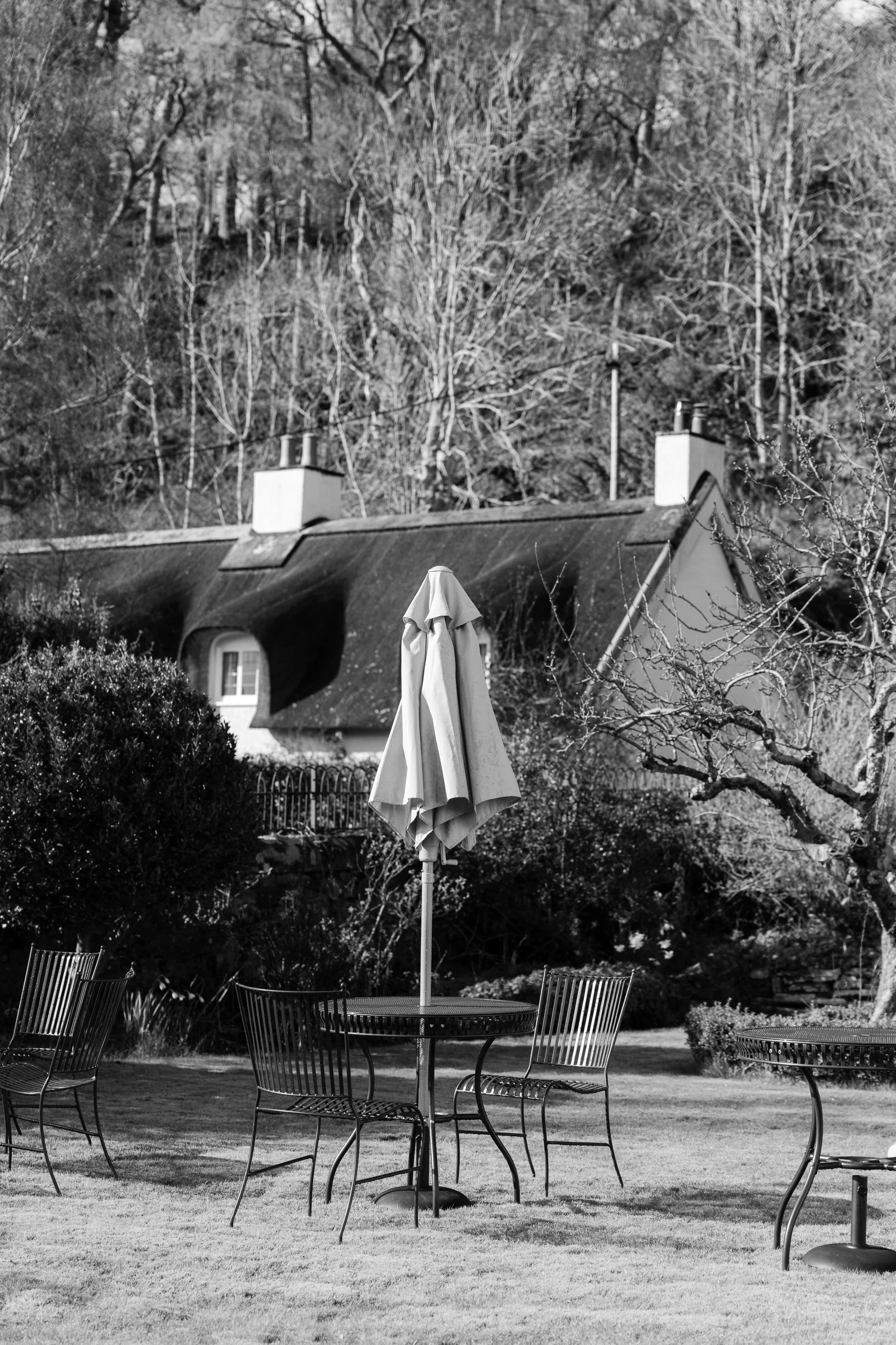 © Julia Caira 2026 - Aberfeldy and Fortingall-1286.jpg
