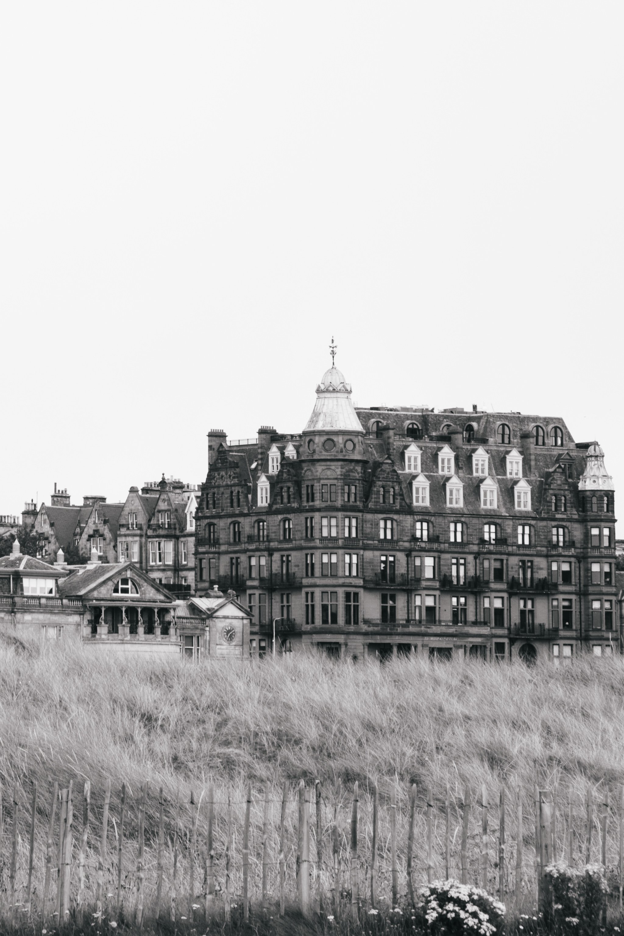 © Julia Caira 2025 - St Andrews-5018.jpg