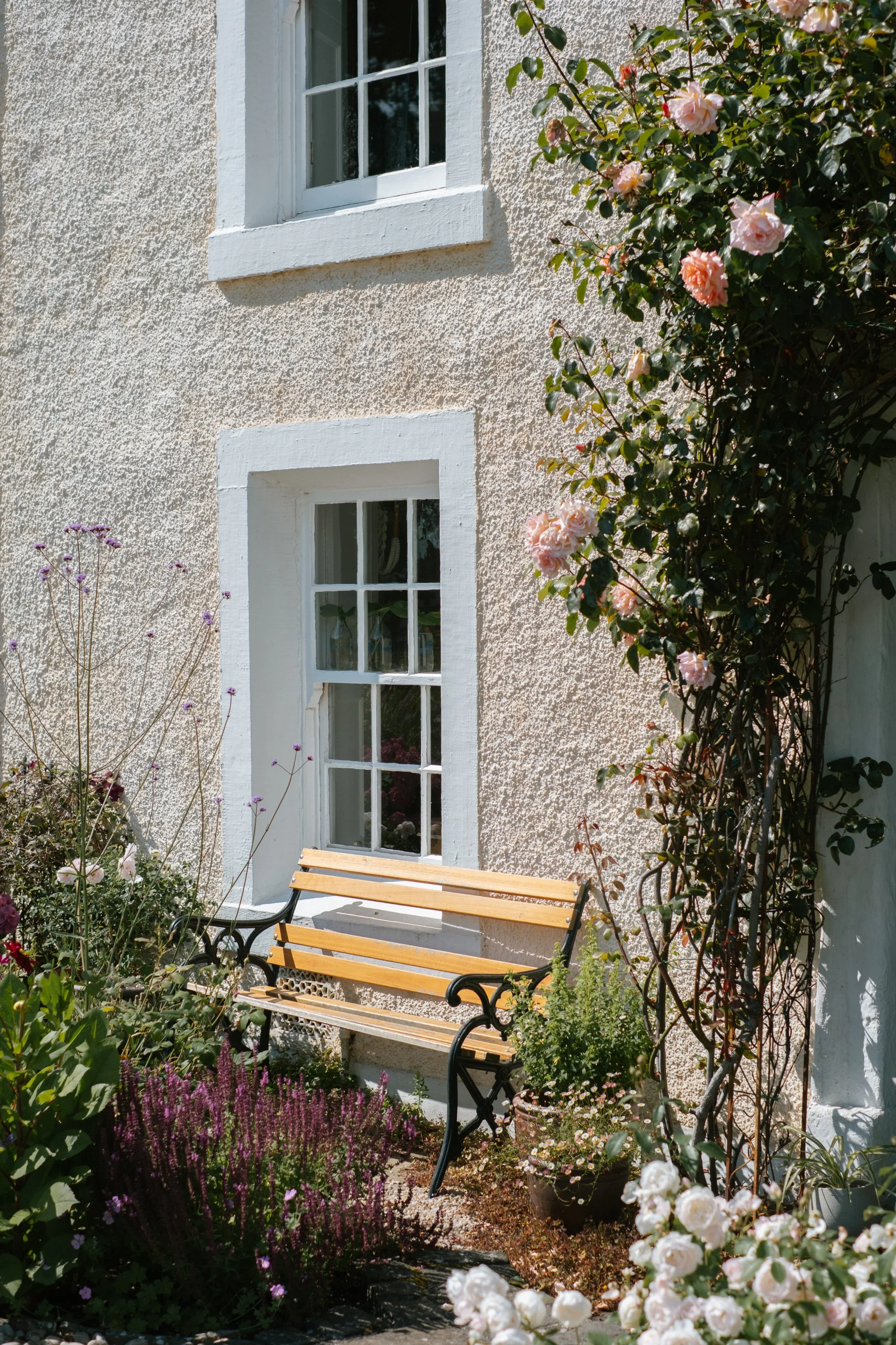 © Julia Caira 2025 - Culross-0311.jpg
