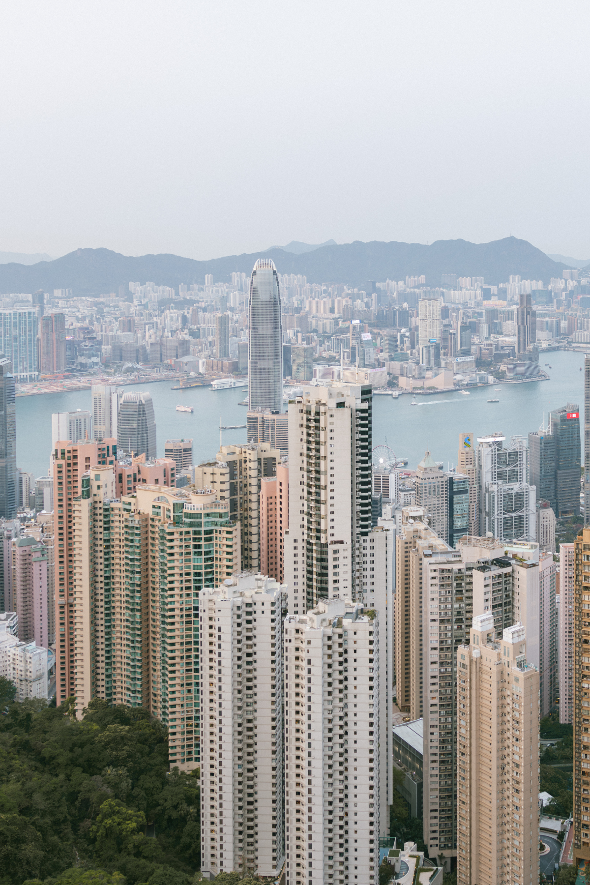 Hong Kong Postcard Files (3).png