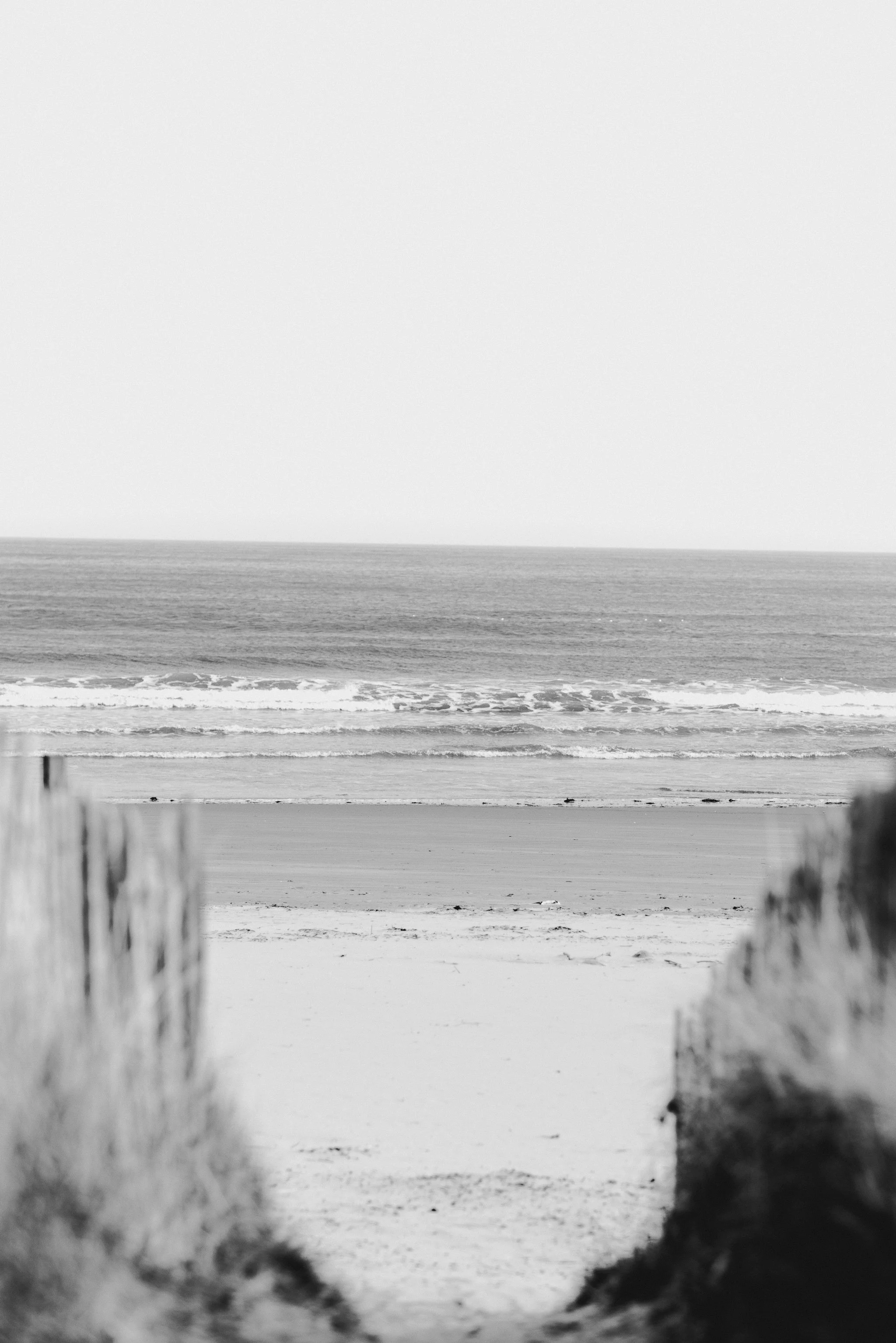 © Julia Caira 2025 - St Andrews-9026.jpg