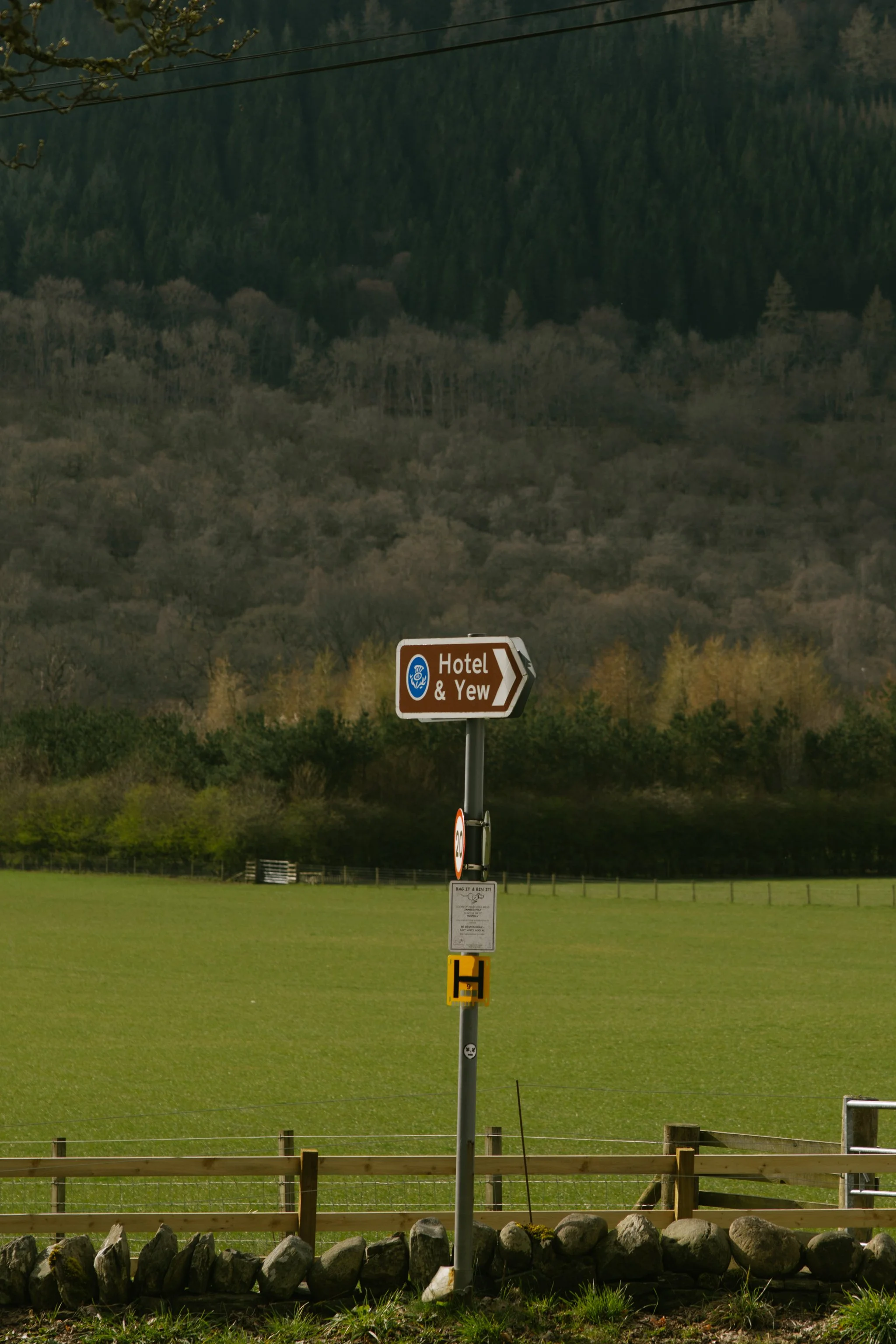 © Julia Caira 2026 - Aberfeldy and Fortingall-1330.jpg