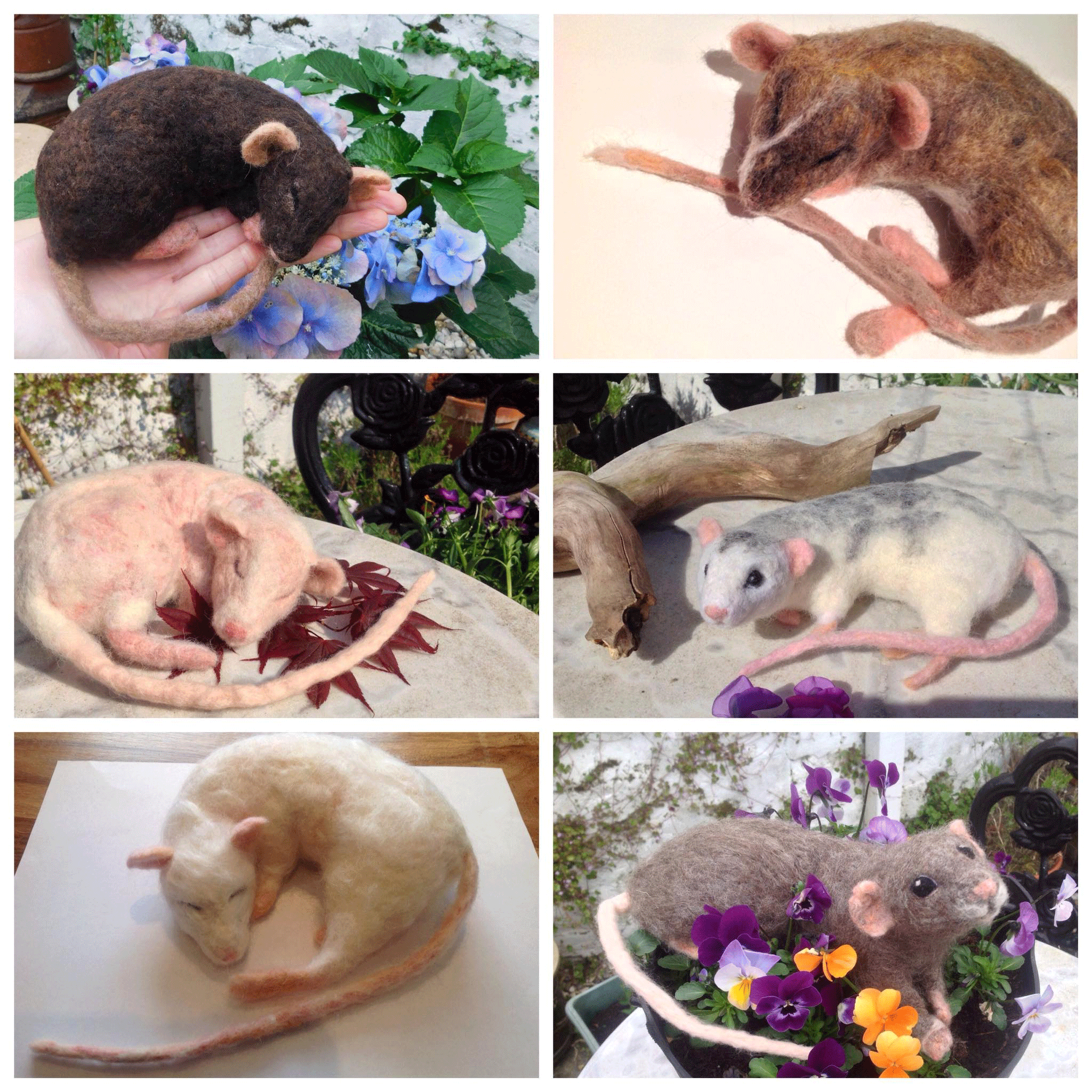 Rats-needle-felt.gif