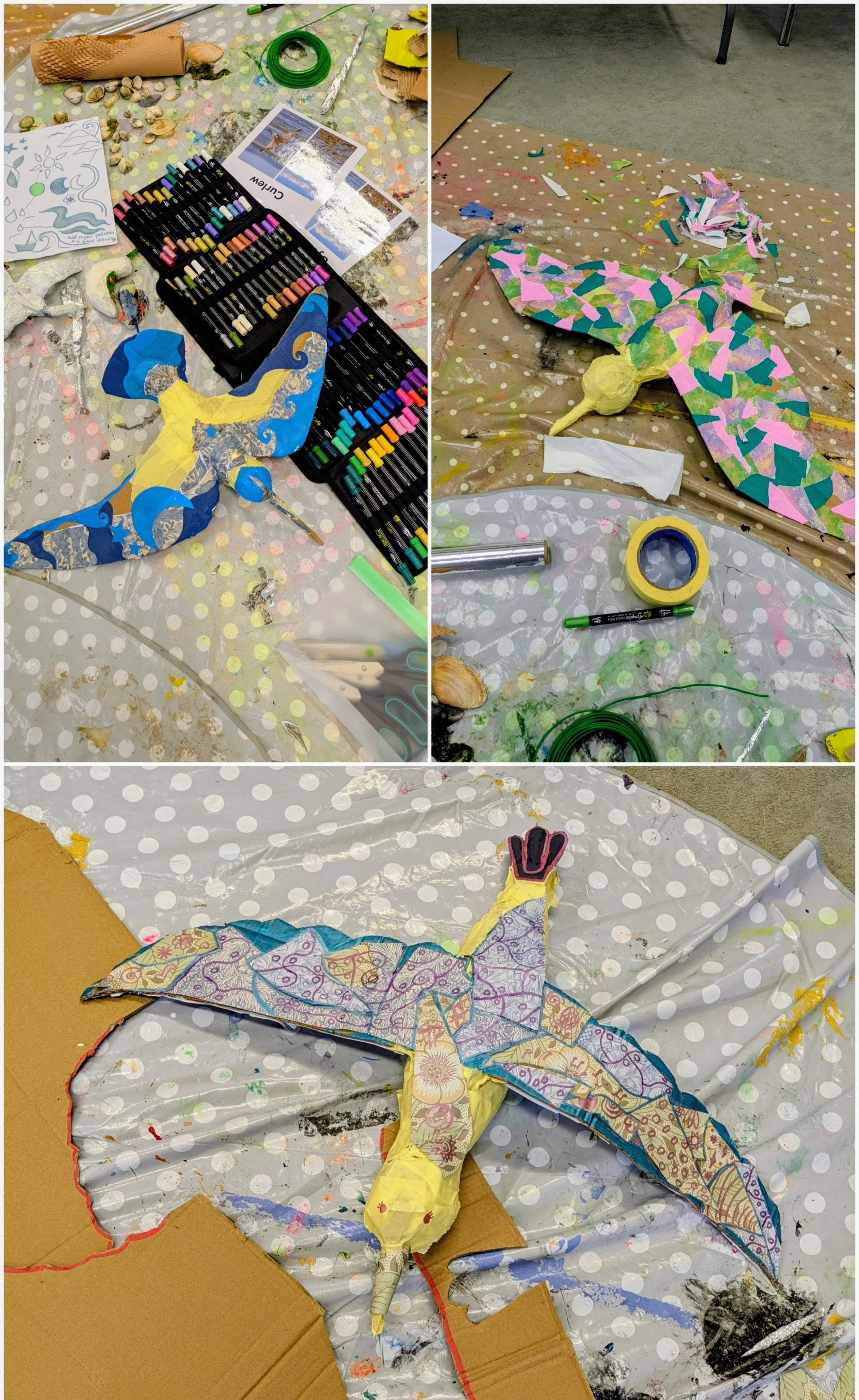 20260805_194437-COLLAGE~3.jpg