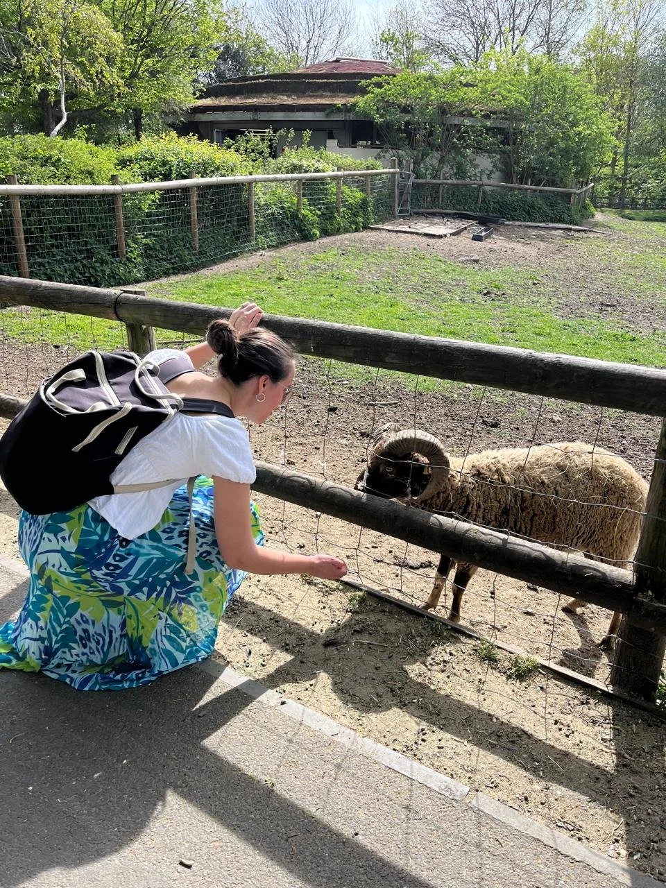 A day out to the farm