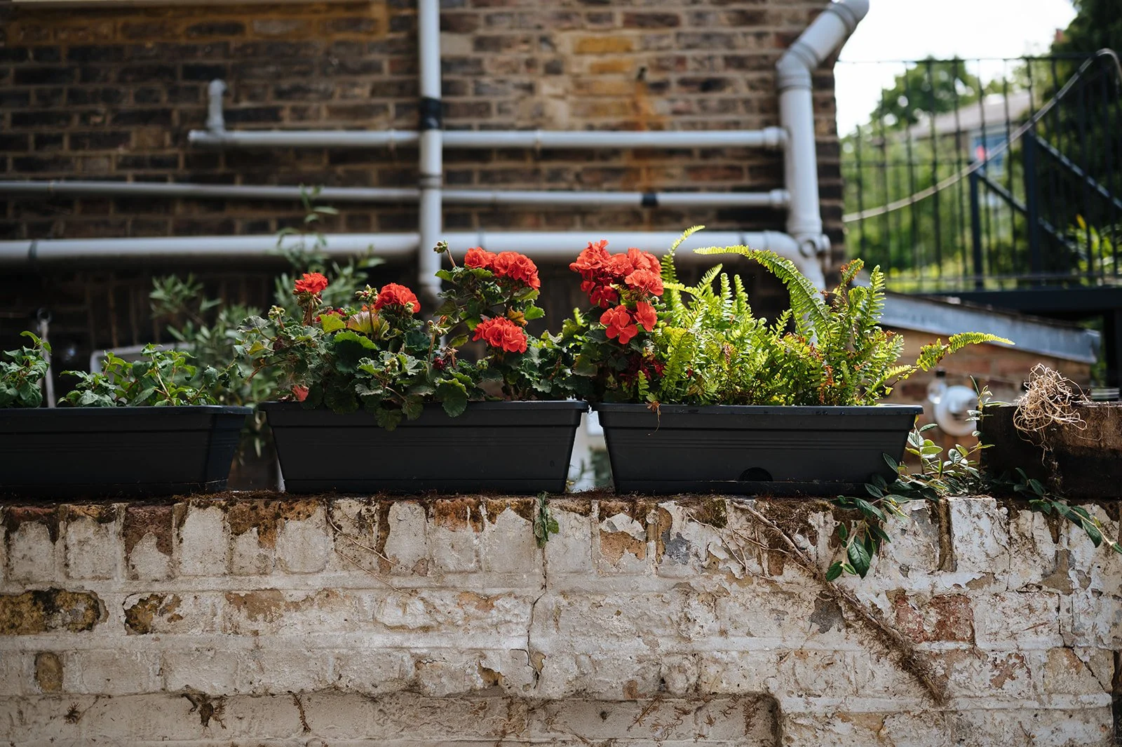 Ella's2021_TomPrice__66253_049 (1).jpg