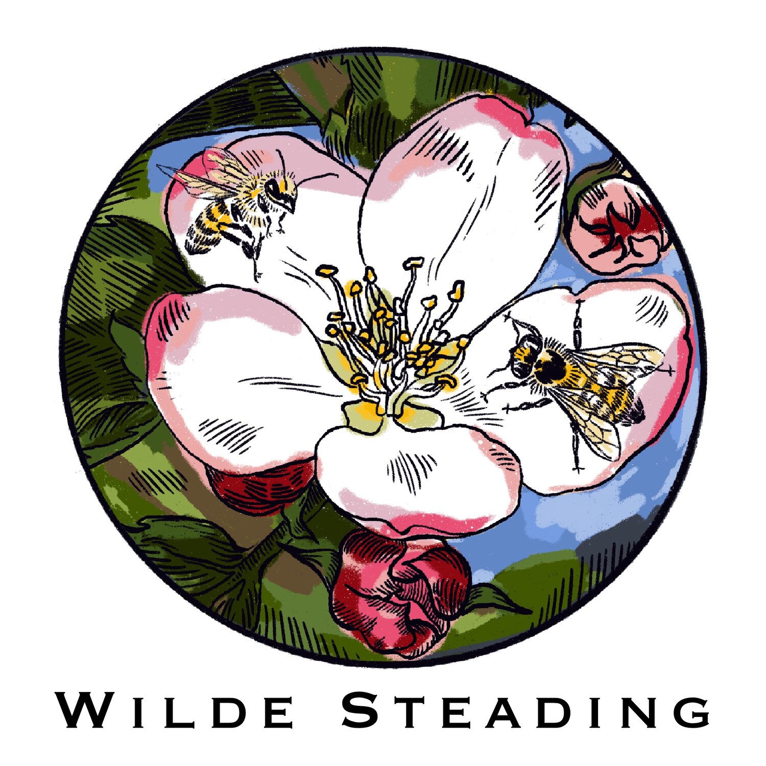 Wilde Steading