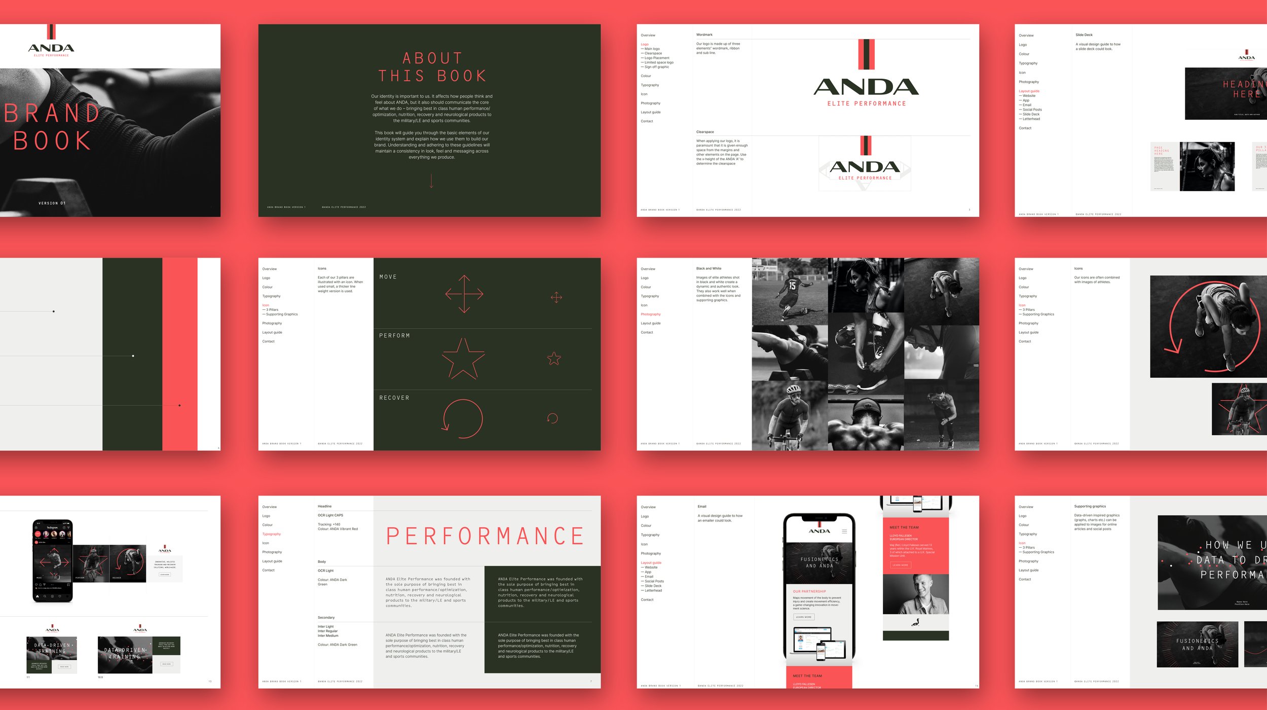 ANDA for website12.jpg
