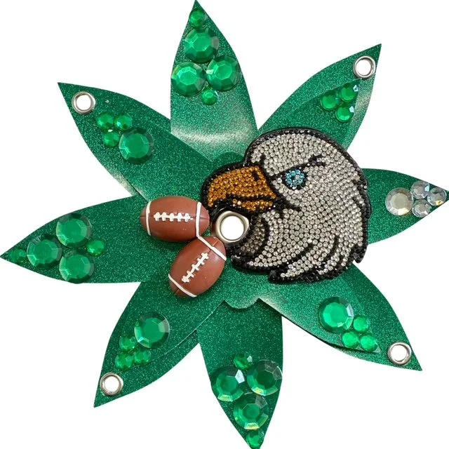 Philadelphia Eagles bling.jpg