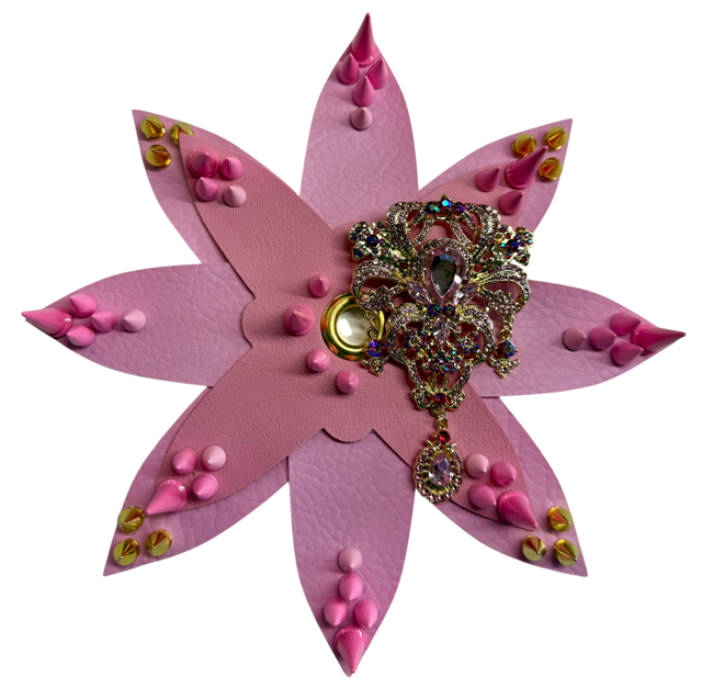IMG_9056-Photoroom.PNG