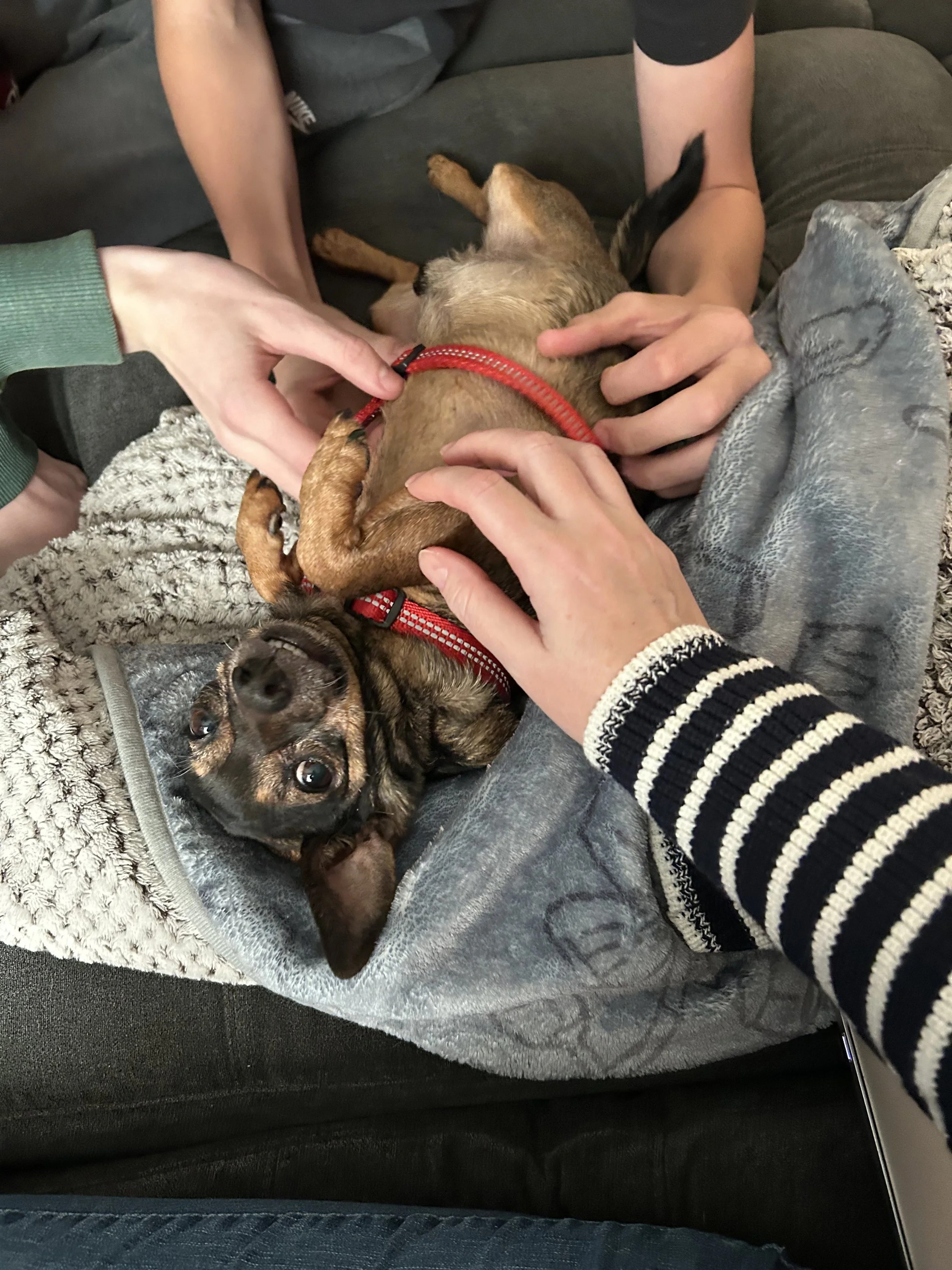 Day 71: Thanksgiving Thoughts