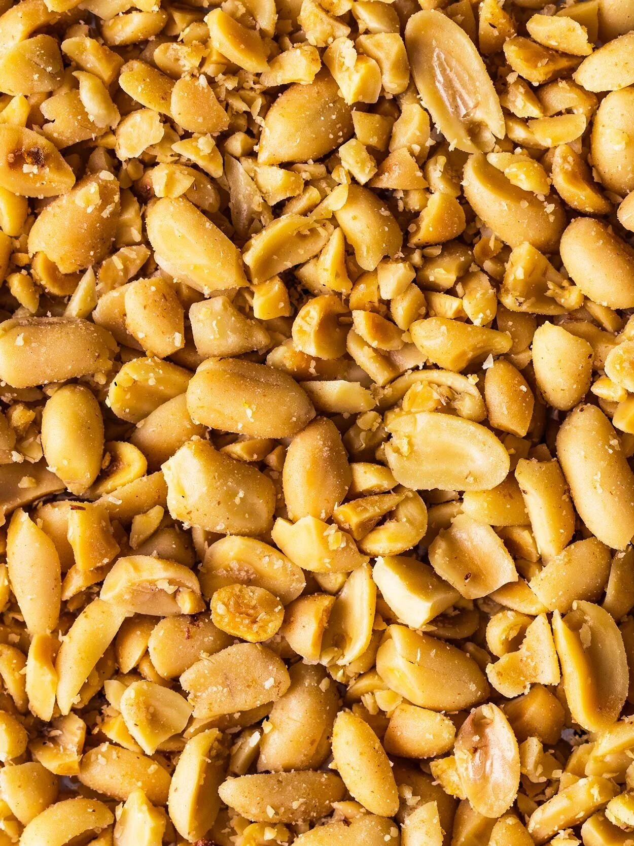 BrownieFudge_CI1.jpg