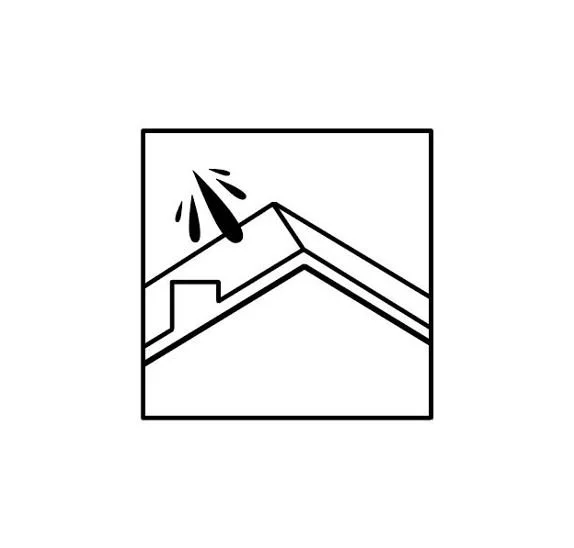 ROOF SOFT WASH_1.JPG