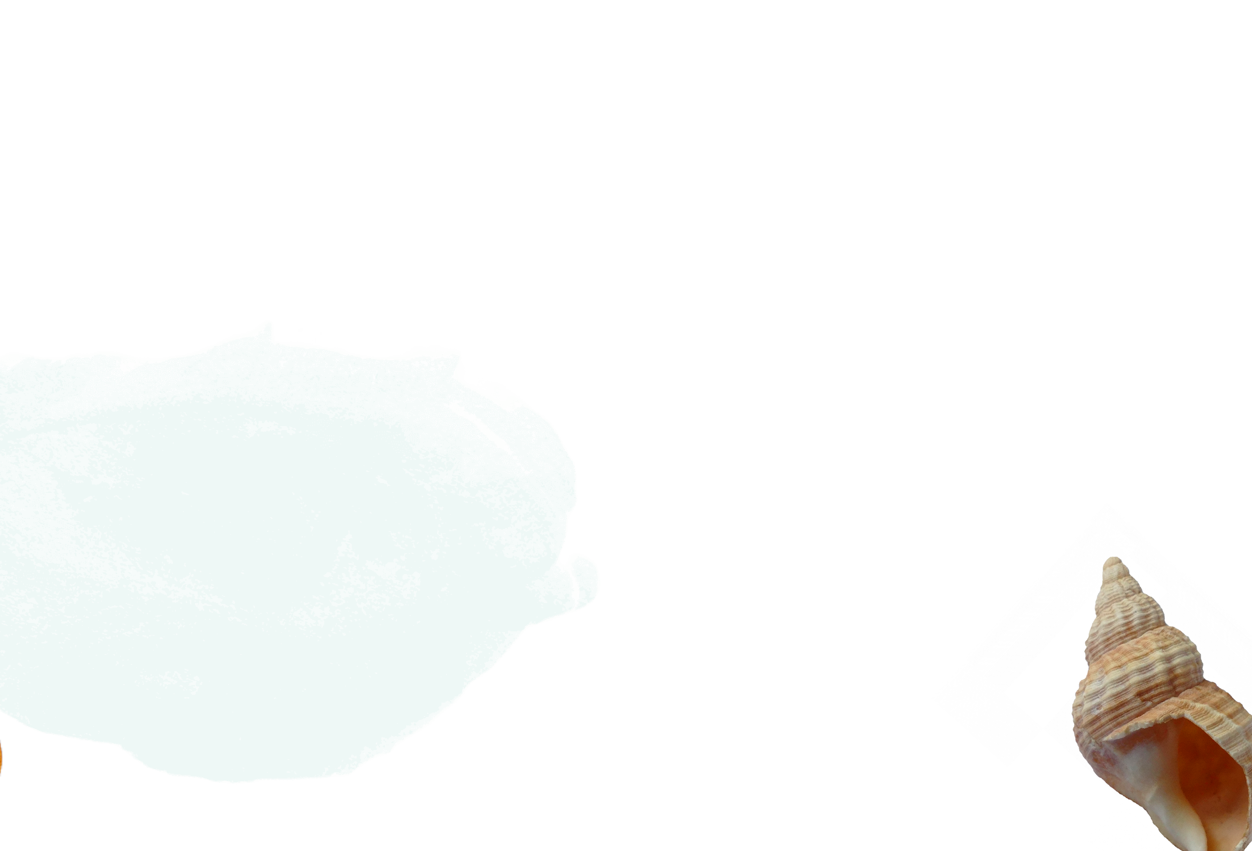 nrusery bottom bkgds-02.png