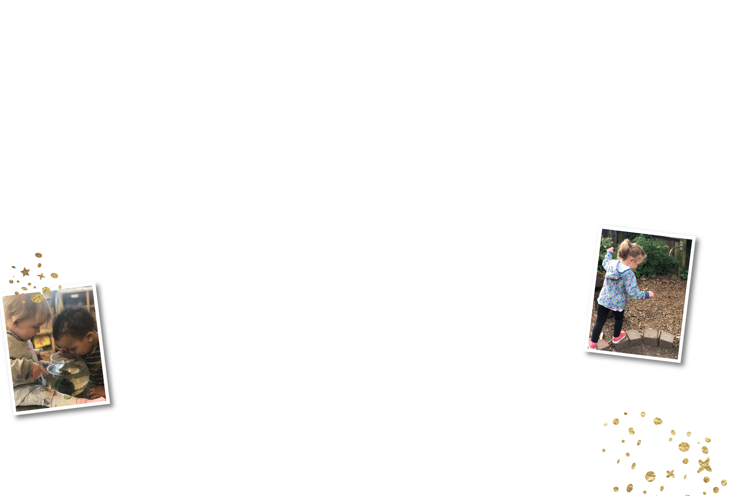 nest_Lime kiddo bkgd-01.png