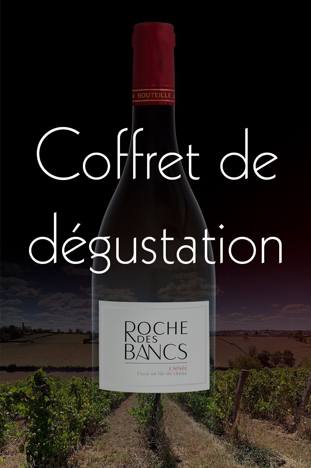 Coffret - Nos vins sélectionnés par La Revue du Vin de France