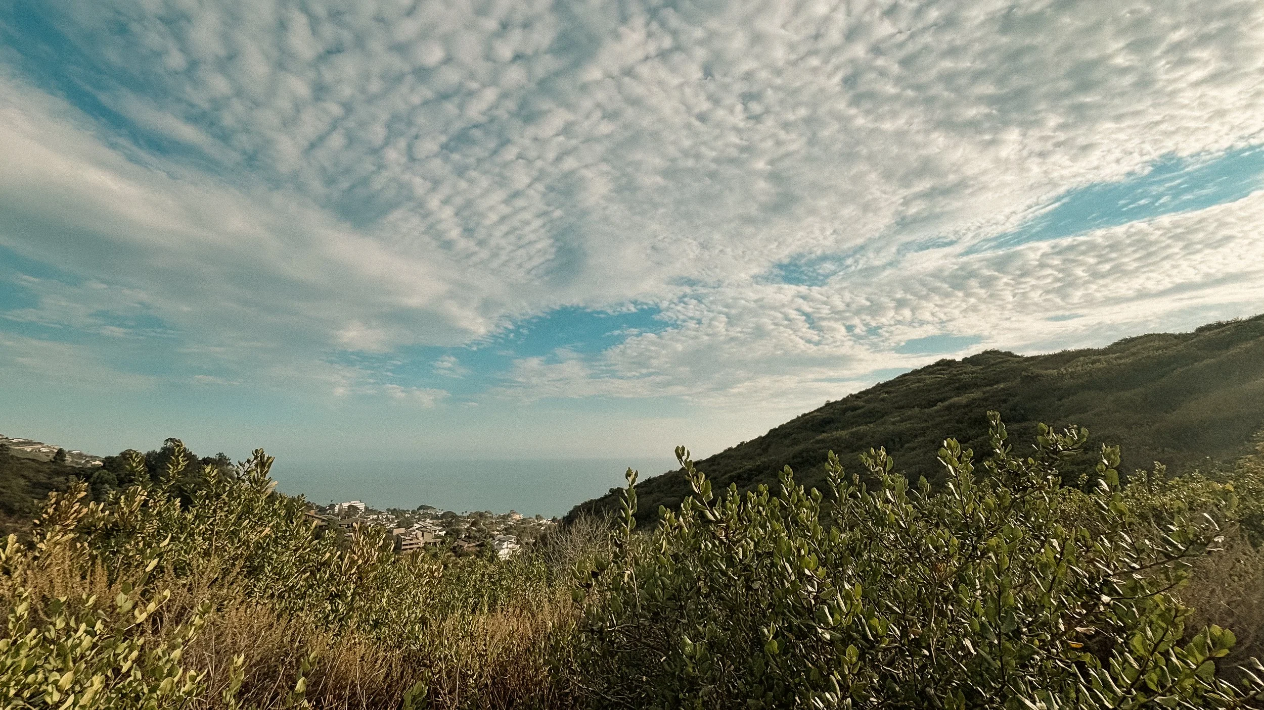 260805 Valido Trail-2.jpg