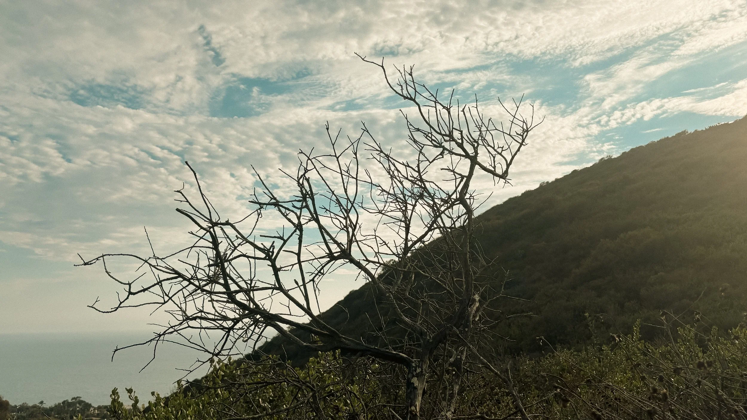 260805 Valido Trail-1.jpg