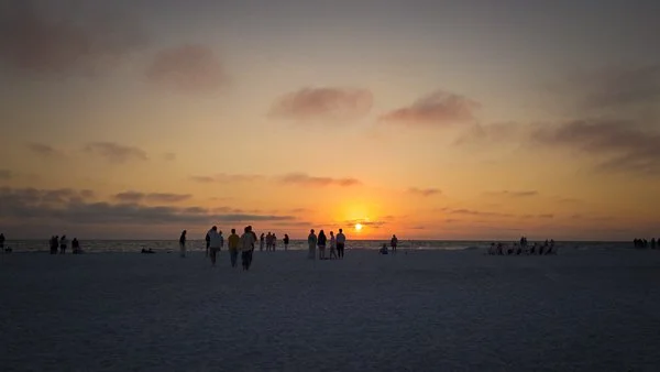 260324 AMI FL-45.jpeg