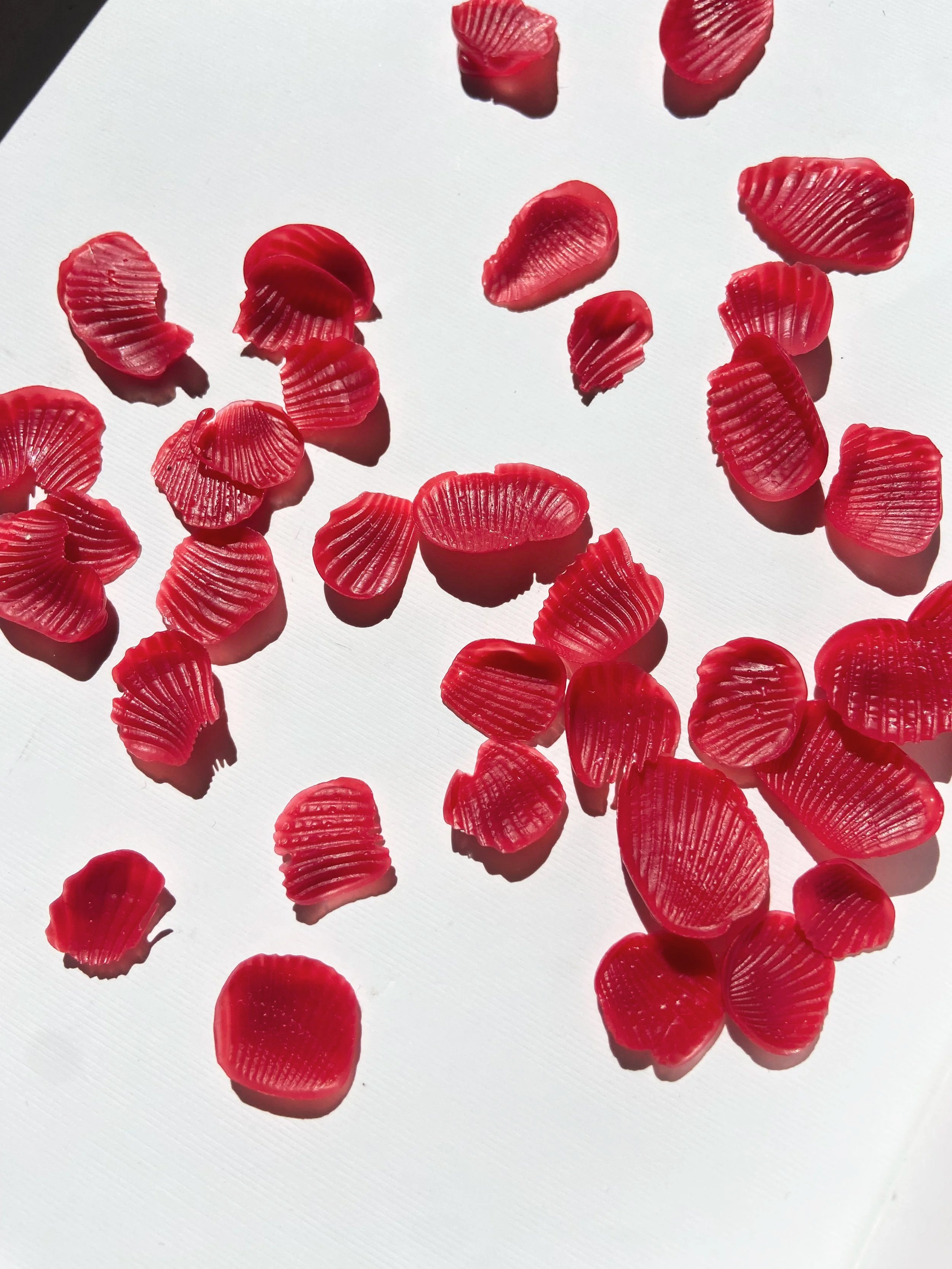 Wax Imprint Studies, 2025 – natural textures recorded with liquid wax