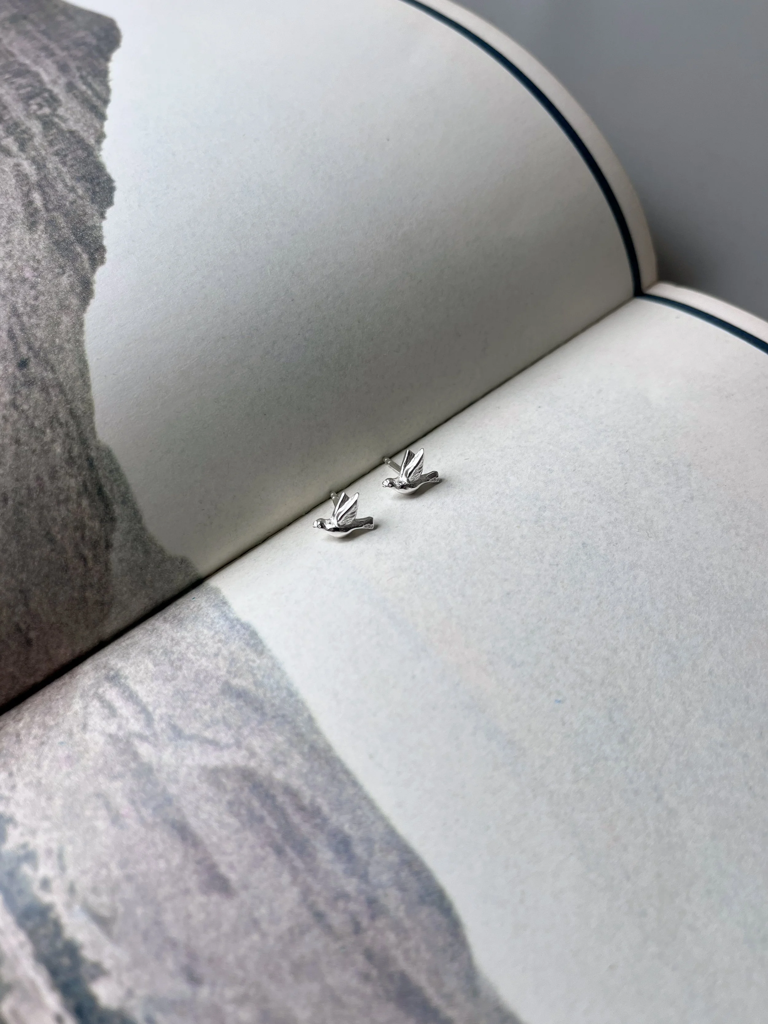 tiny-dove-earrings-silver.jpg